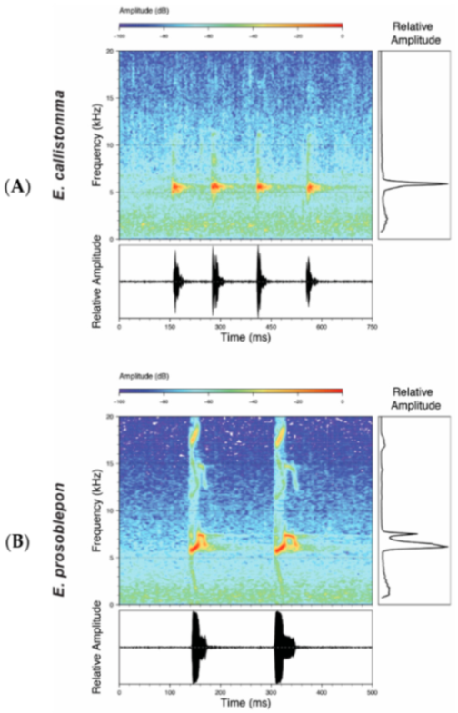 Diversity 12 00222 g091