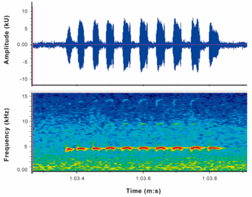 Diversity 12 00222 g099