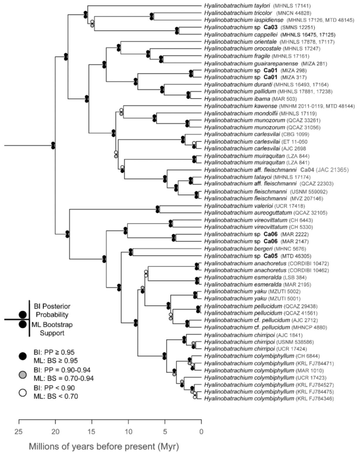 Diversity 12 00222 g101