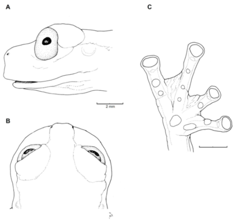 Diversity 12 00222 g118