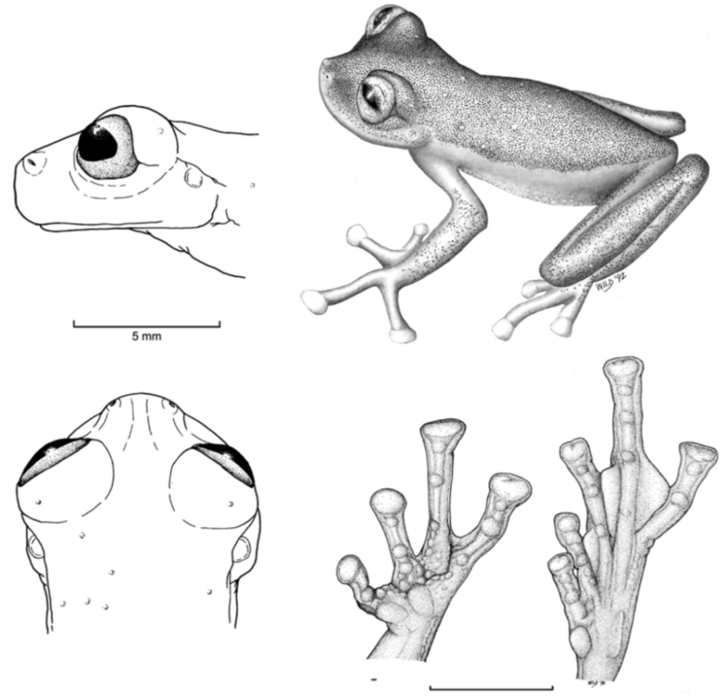 Diversity 12 00222 g138
