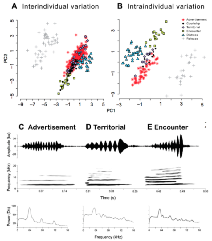 Diversity 12 00222 g152