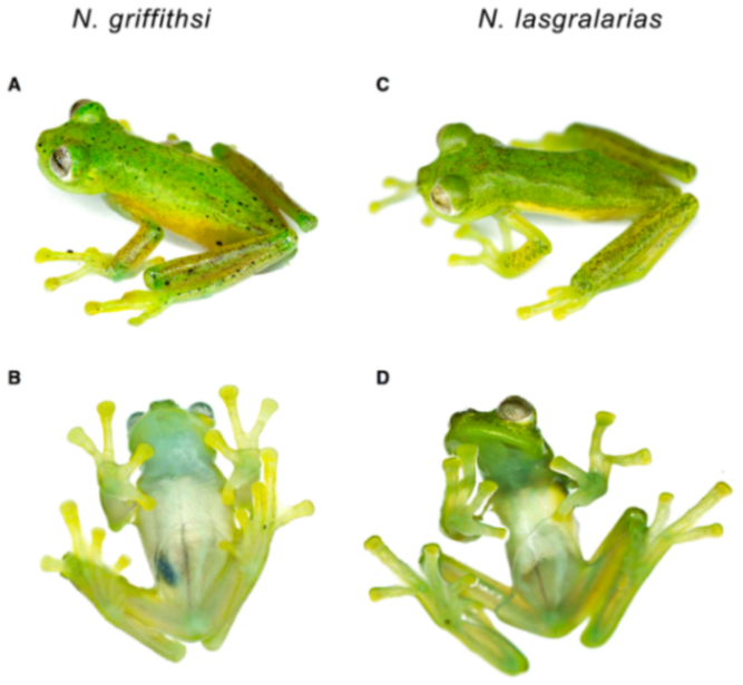 Diversity 12 00222 g154