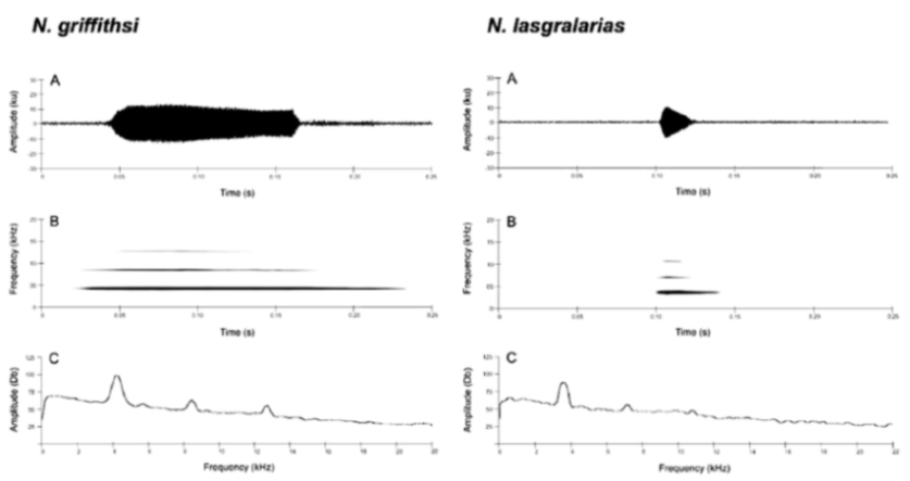 Diversity 12 00222 g156