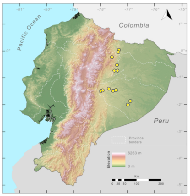 Diversity 12 00222 g169