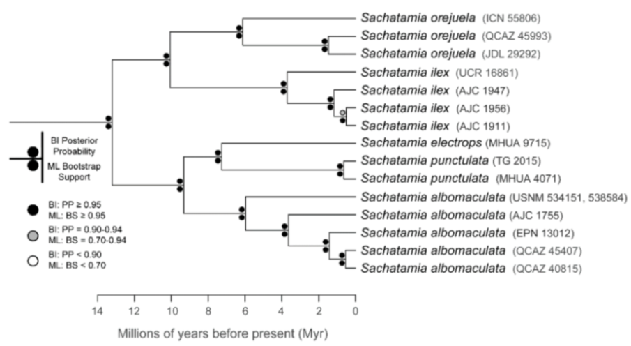 Diversity 12 00222 g204
