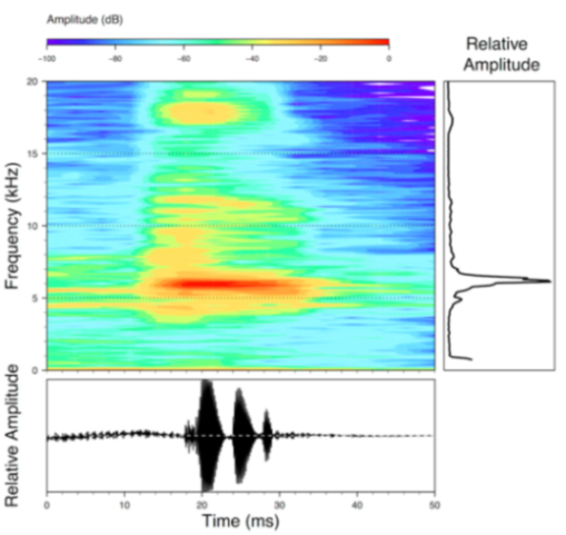 Diversity 12 00222 g208