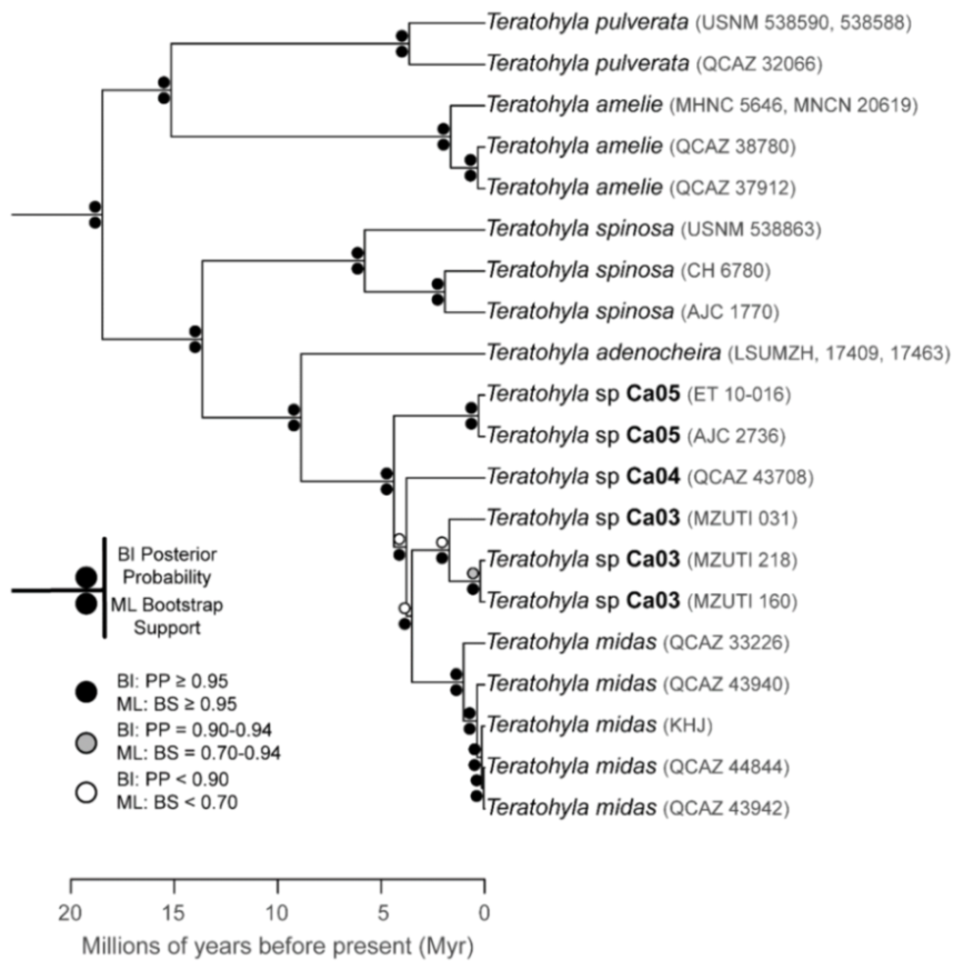 Diversity 12 00222 g210