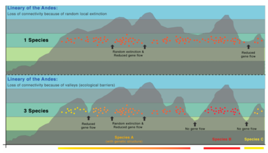 Diversity 12 00222 g233