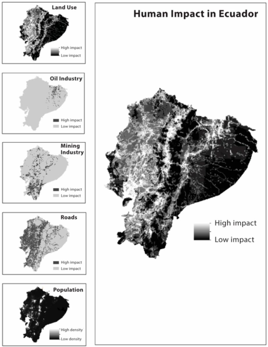 Diversity 12 00222 g238