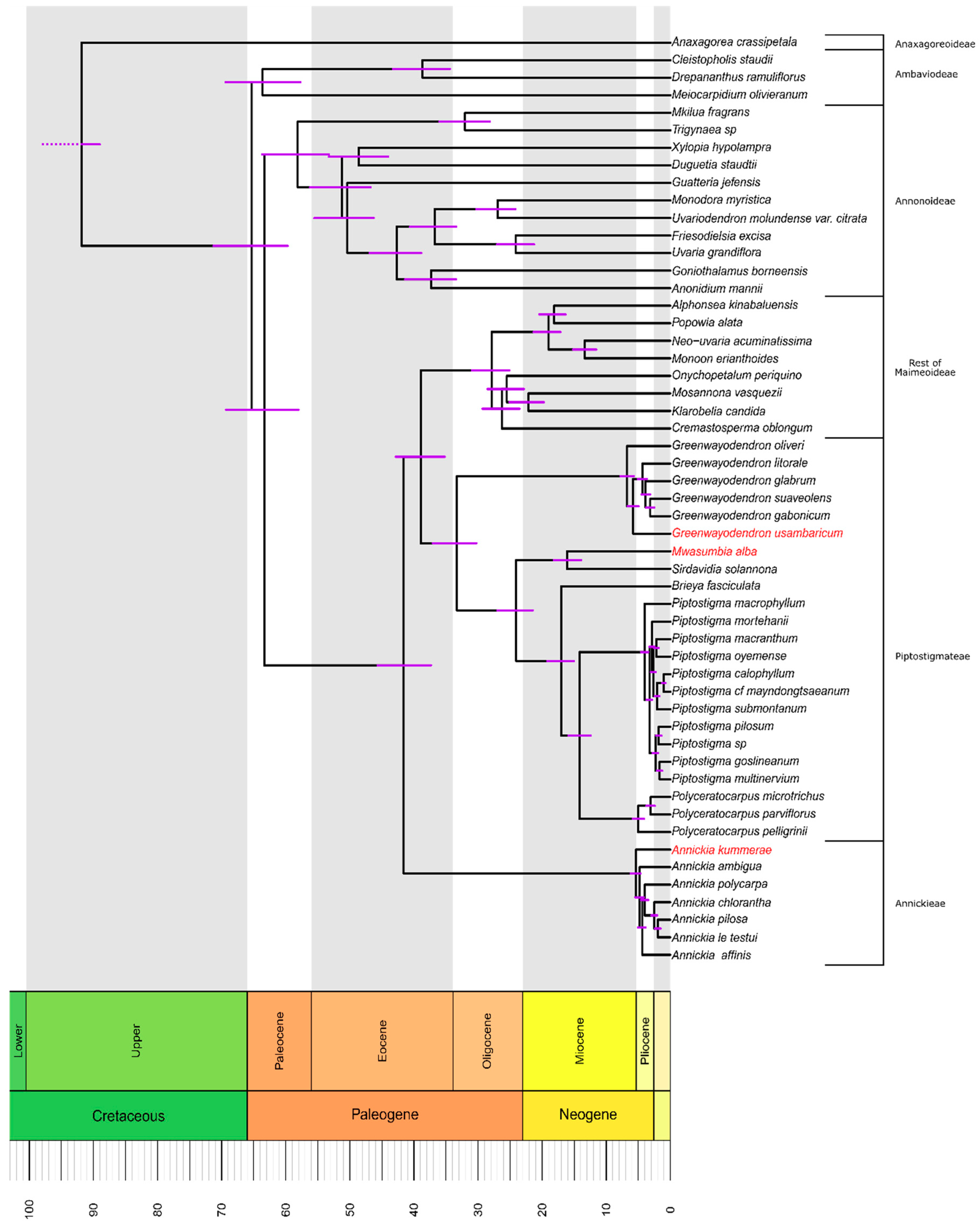 Diversity 12 00227 g002