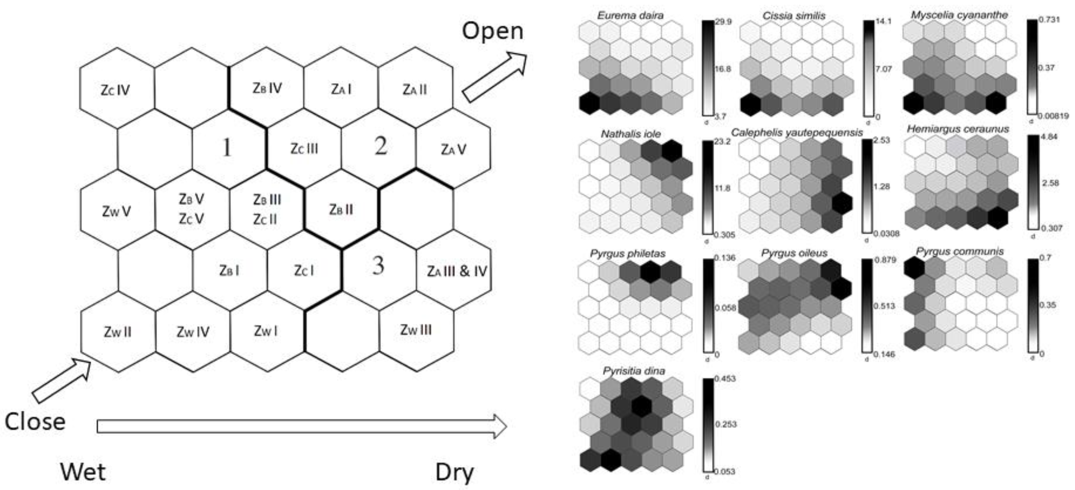 Diversity 12 00231 g003 Diversity 12 00231 g003