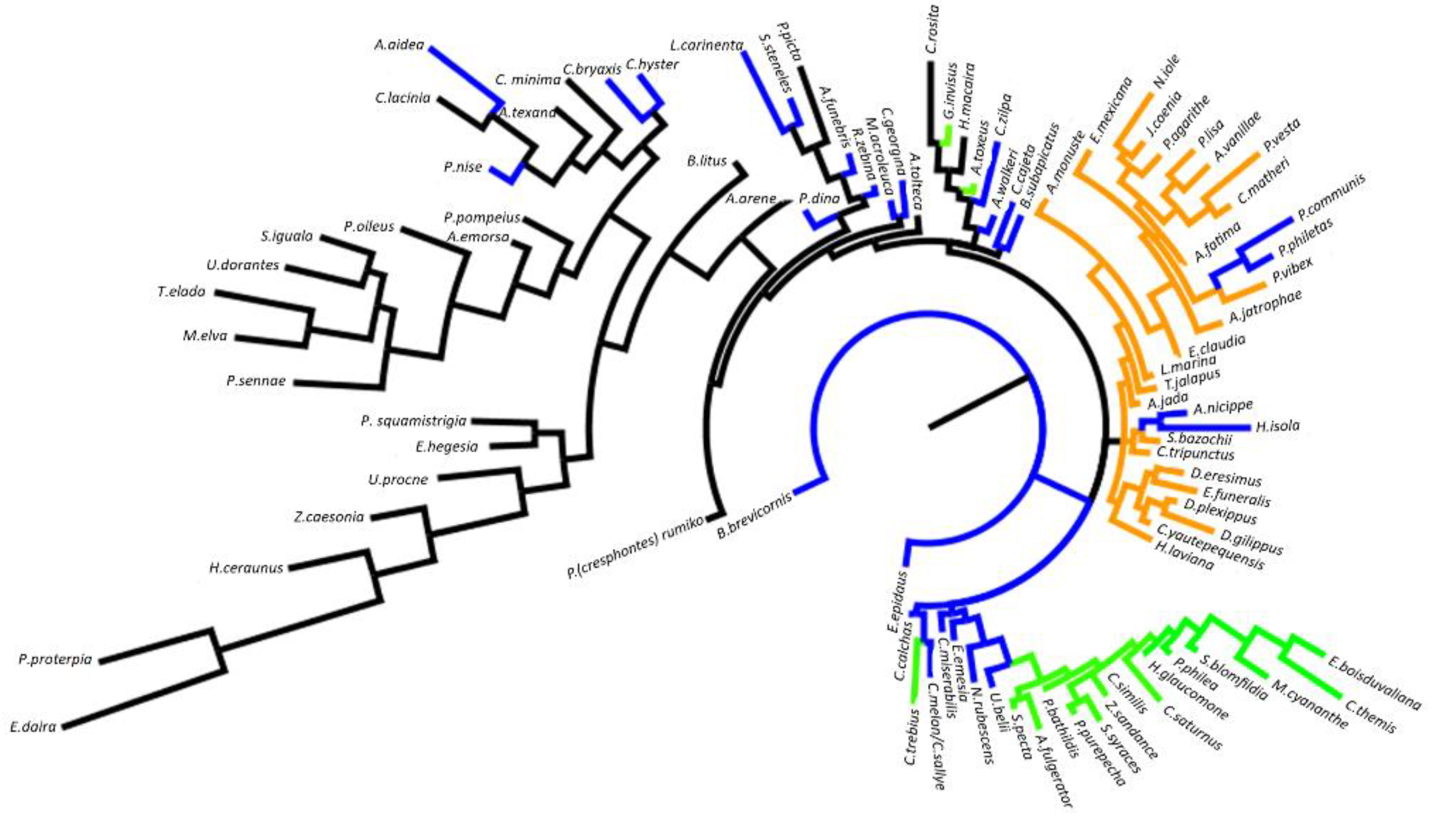 Diversity 12 00231 g004 Diversity 12 00231 g004