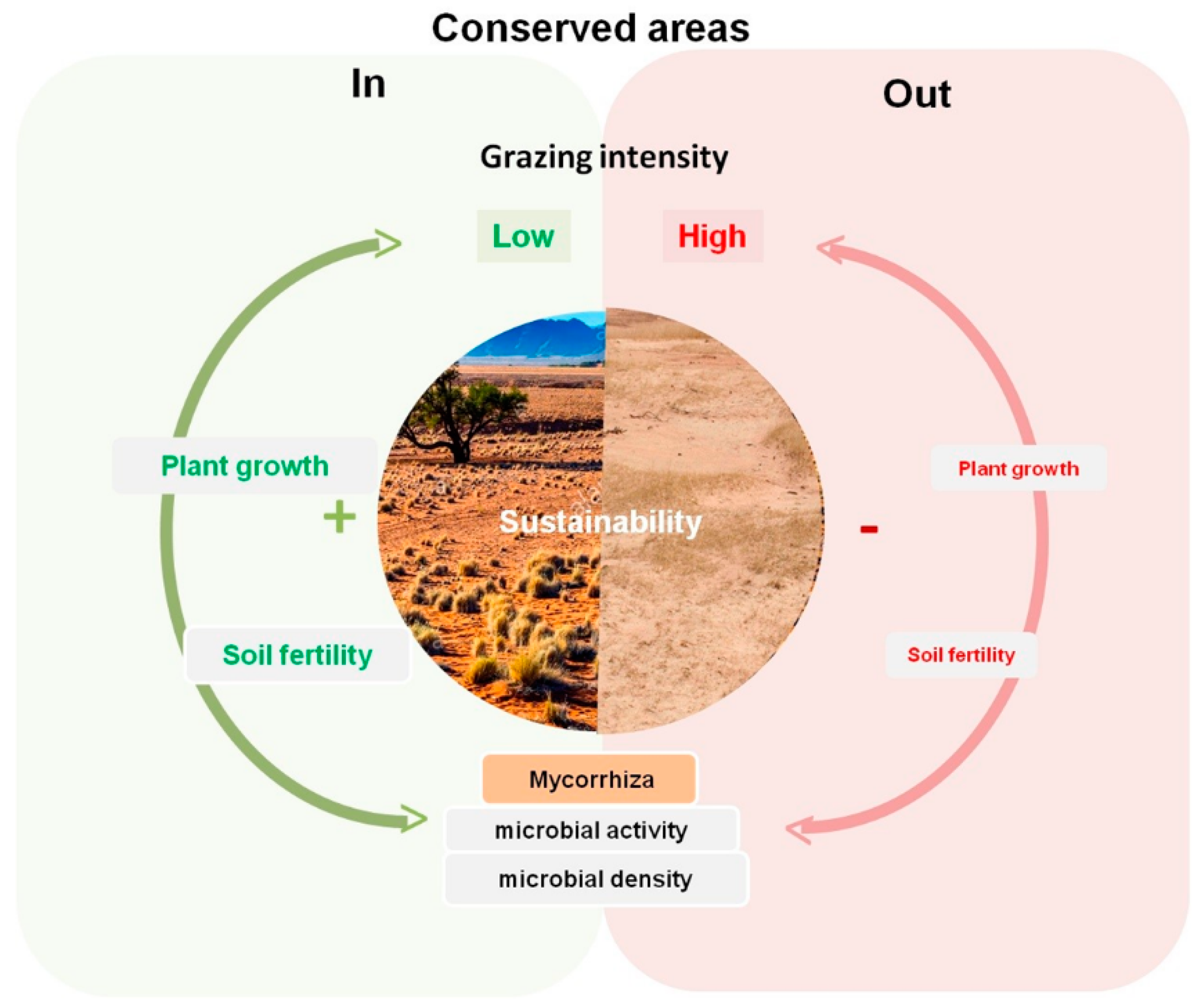 Diversity 12 00234 g008 Diversity 12 00234 g008