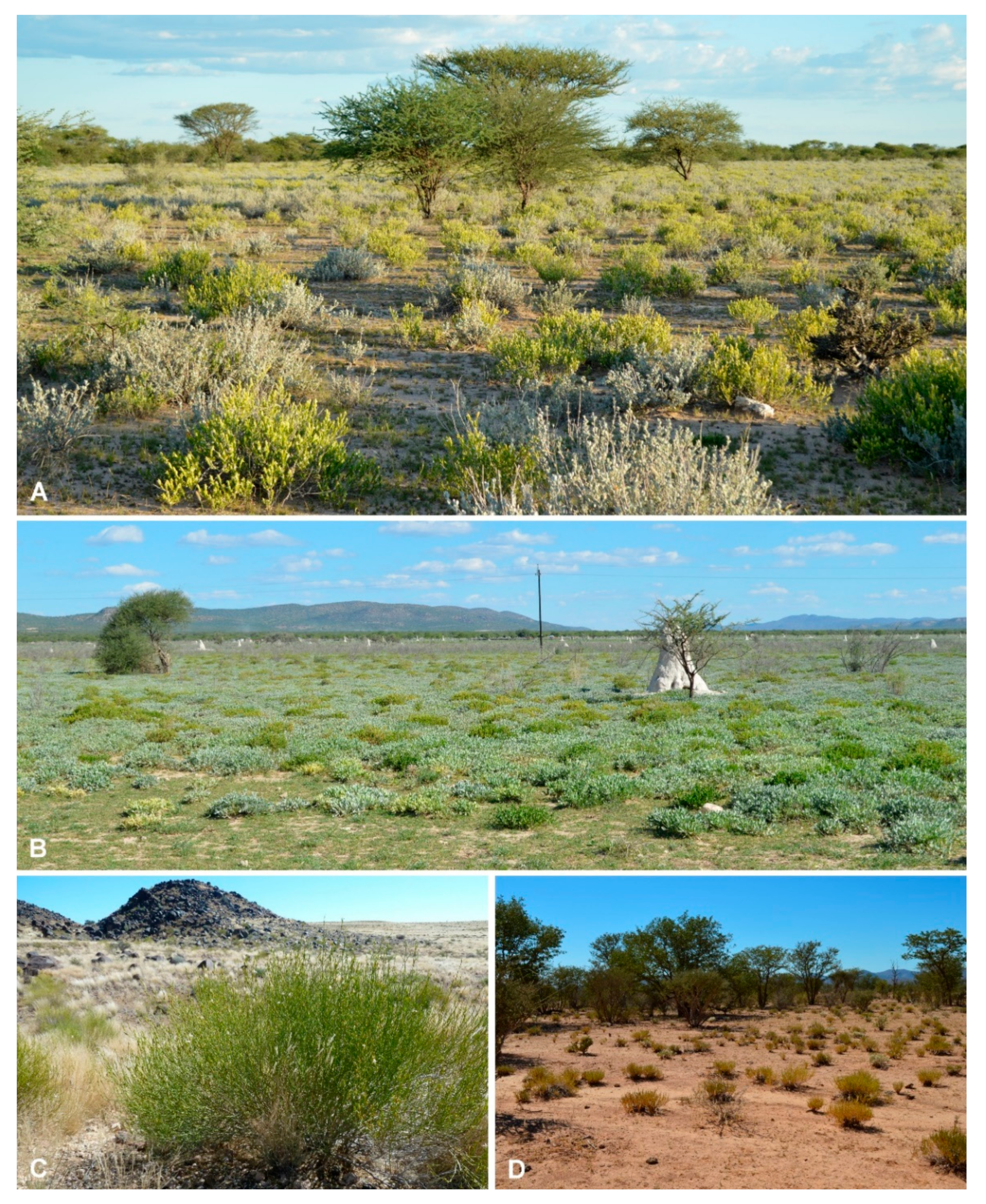 Diversity 12 00237 g003 Diversity 12 00237 g003