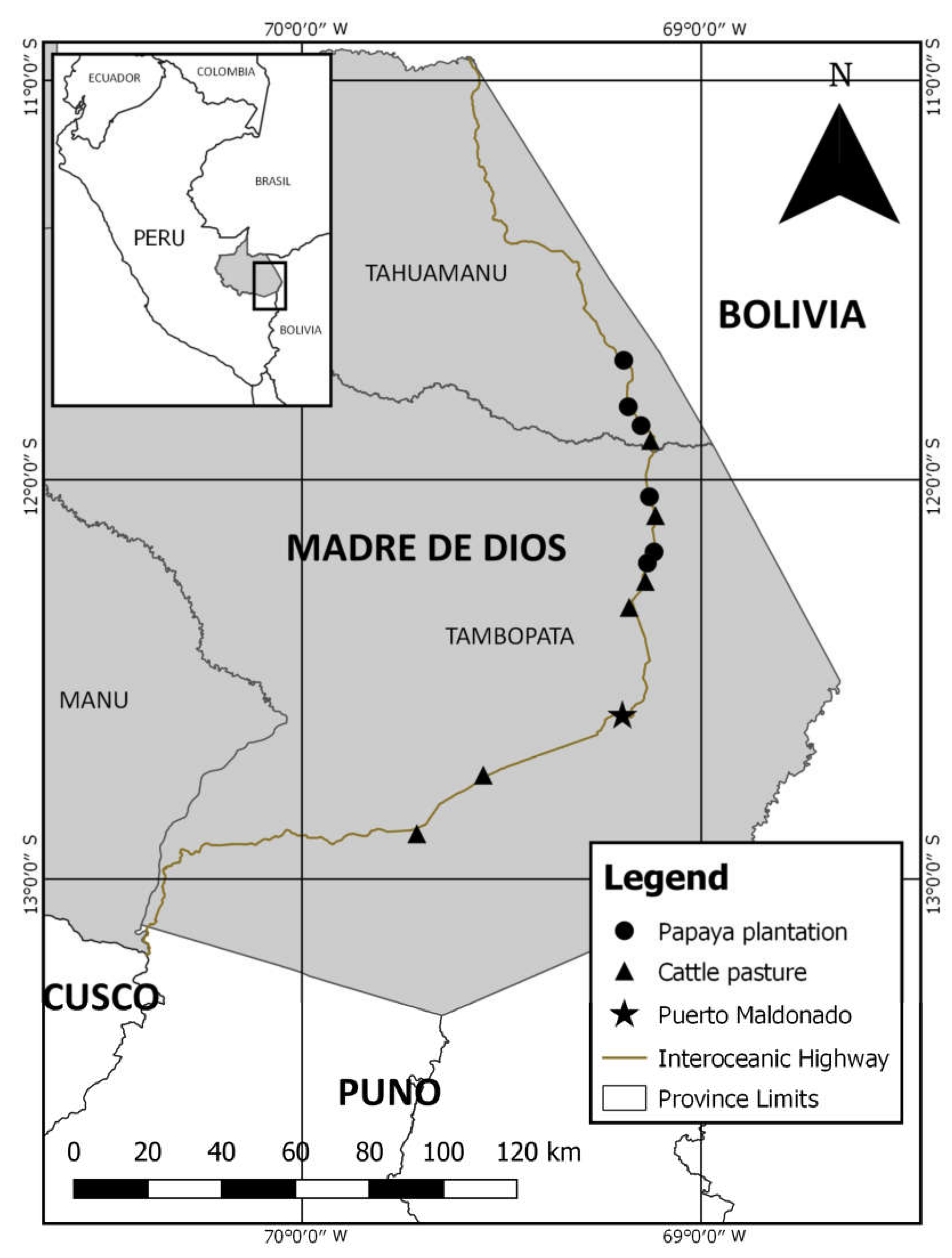 Diversity 12 00238 g001