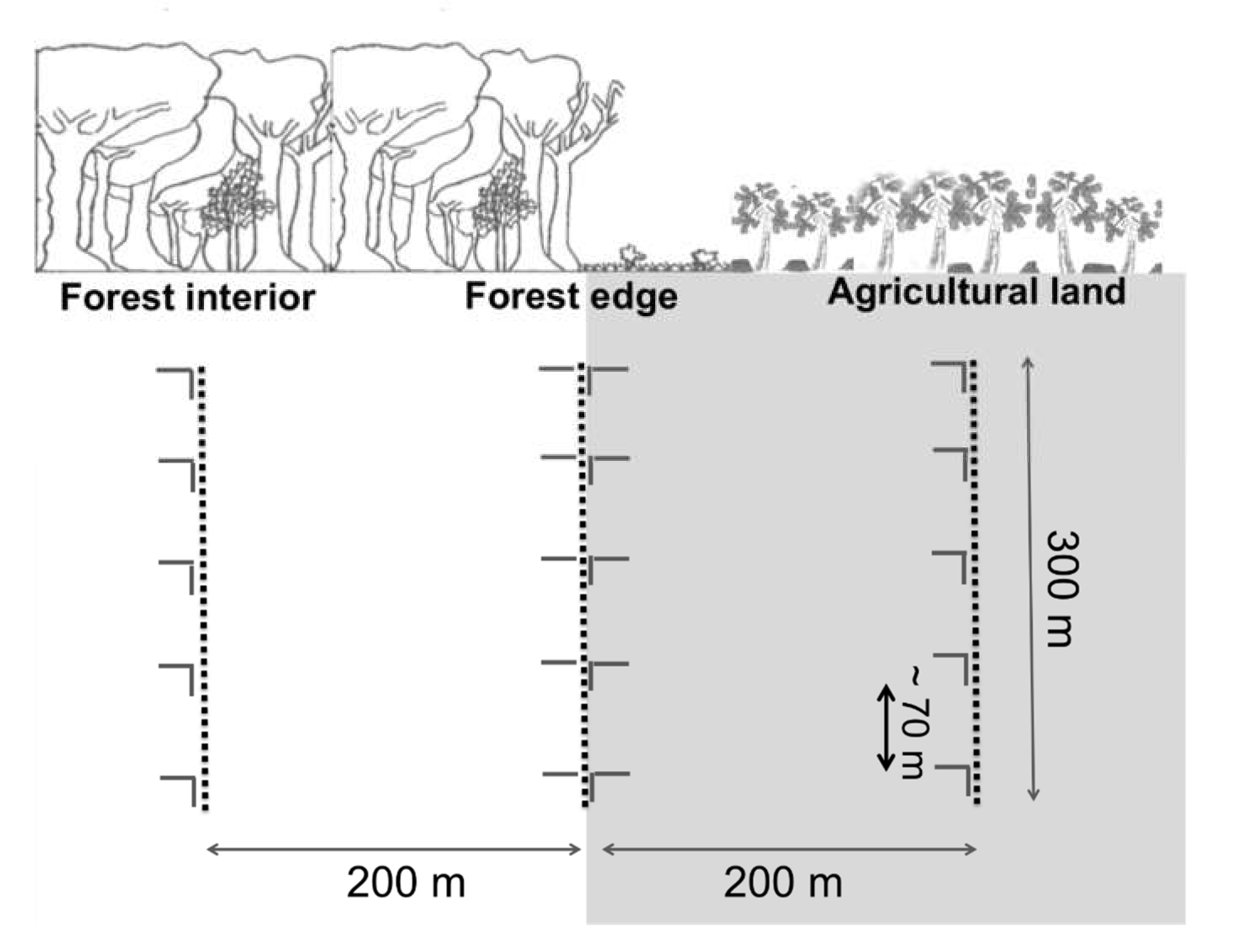 Diversity 12 00238 g002