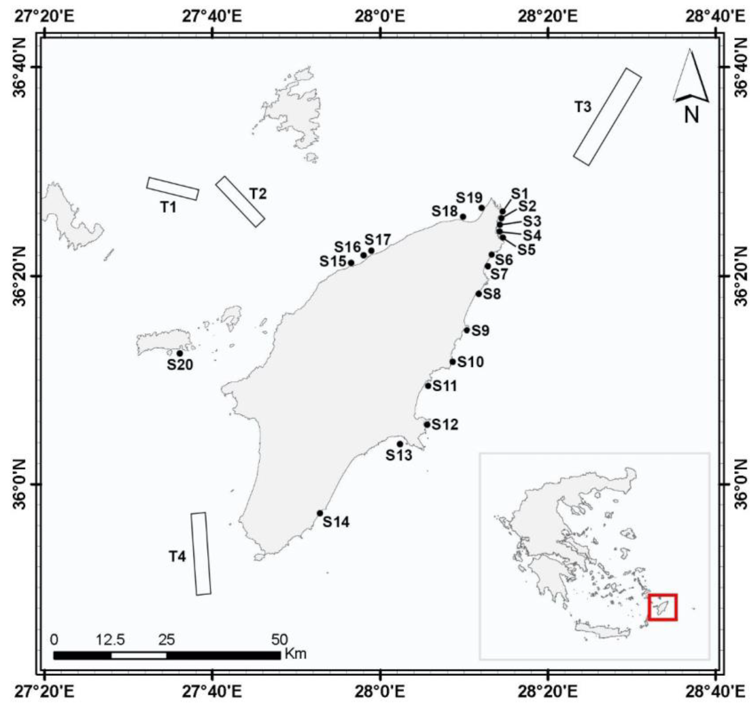 Diversity 12 00246 g001