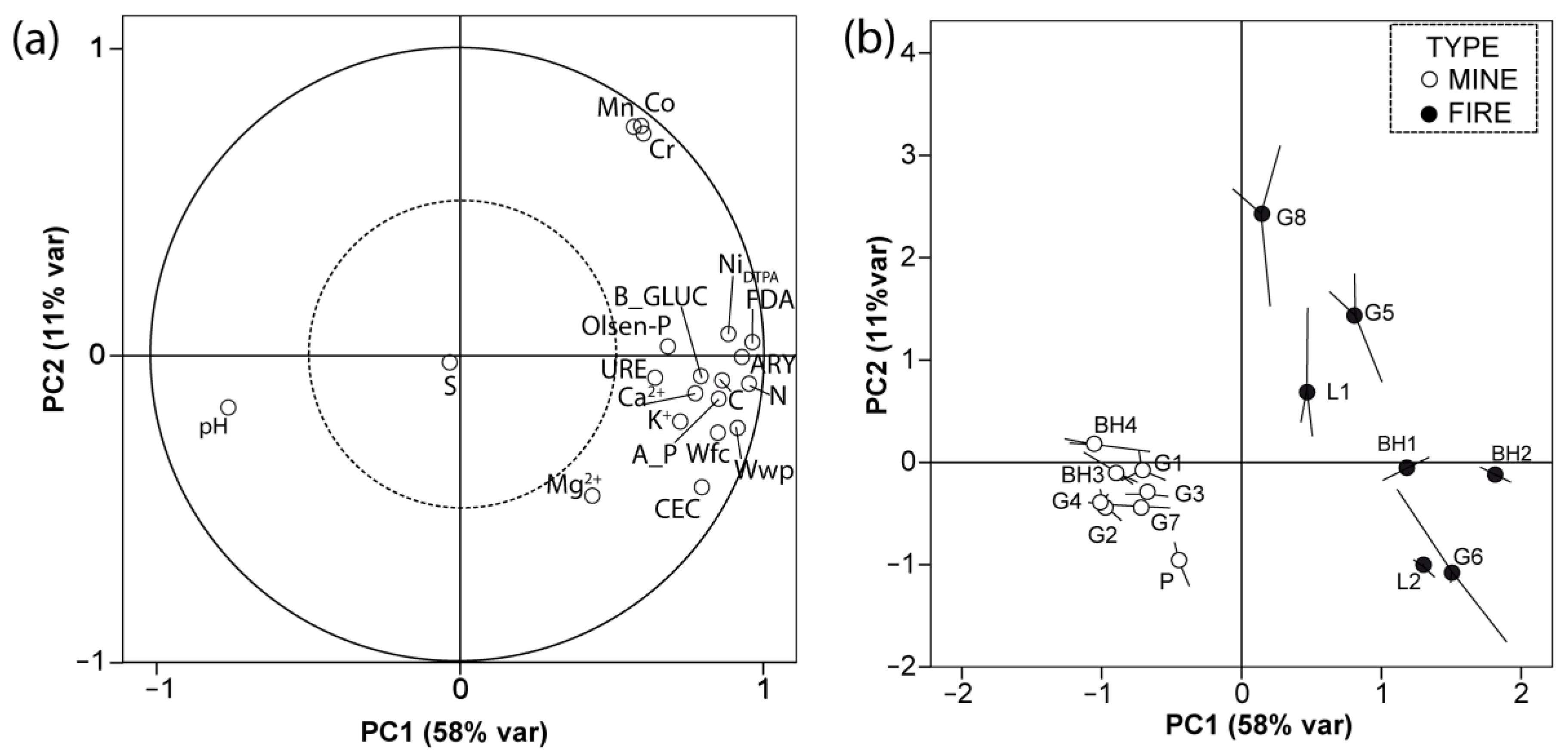 Diversity 12 00248 g002 Diversity 12 00248 g002