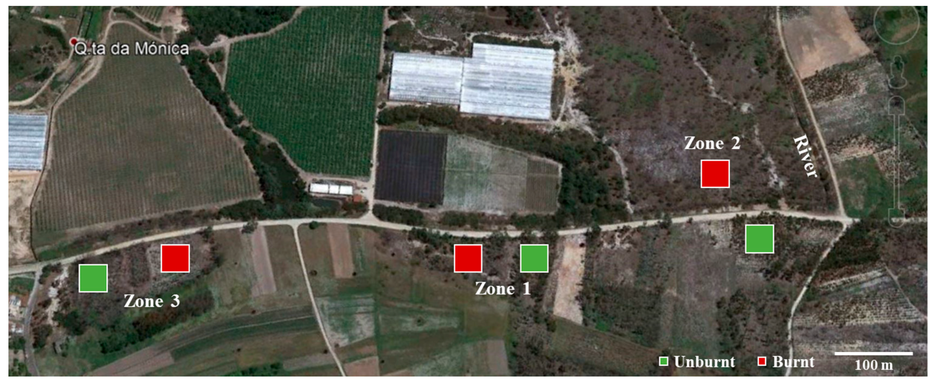 Diversity 12 00250 g001 Diversity 12 00250 g001