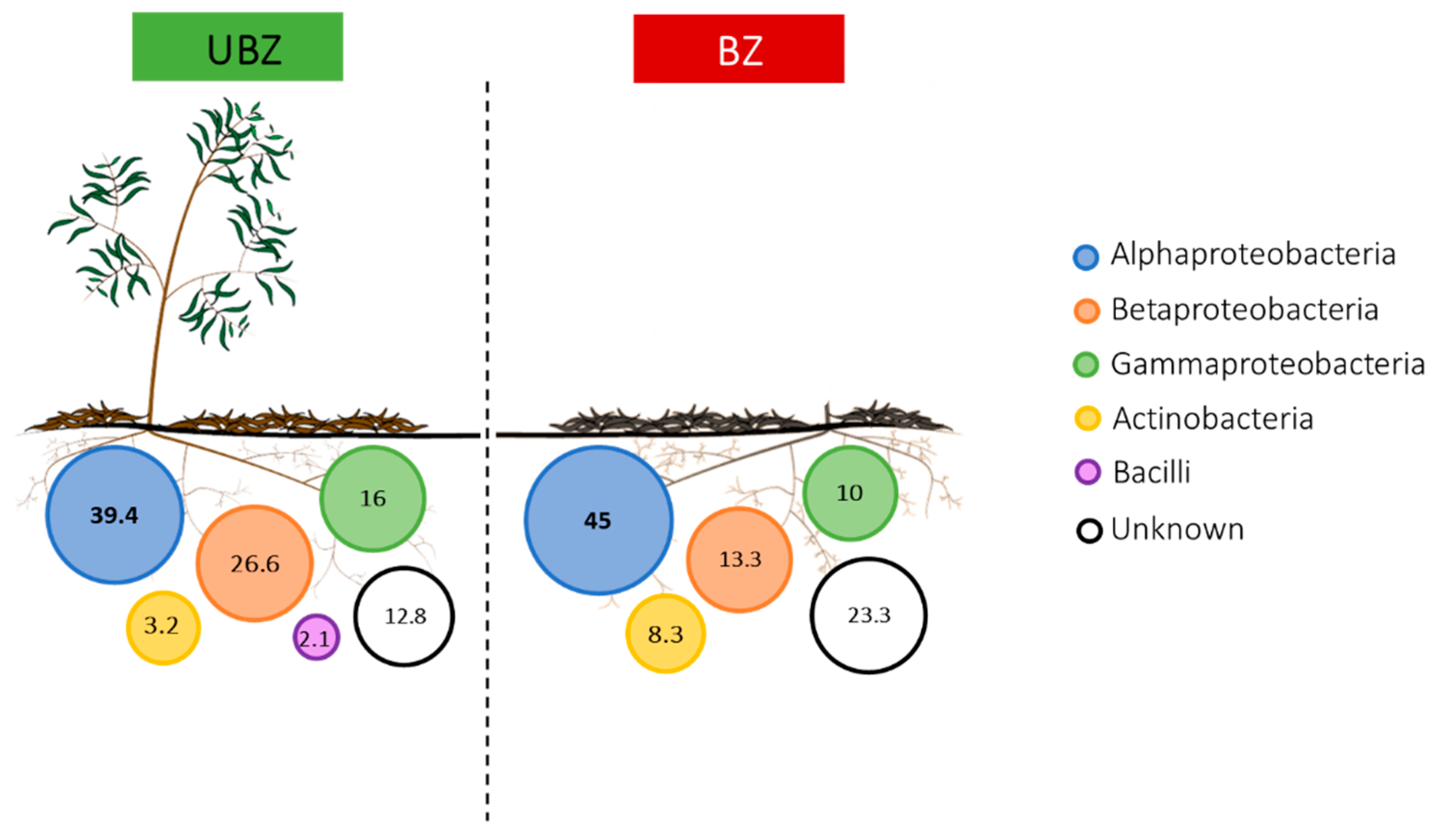 Diversity 12 00250 g003 Diversity 12 00250 g003