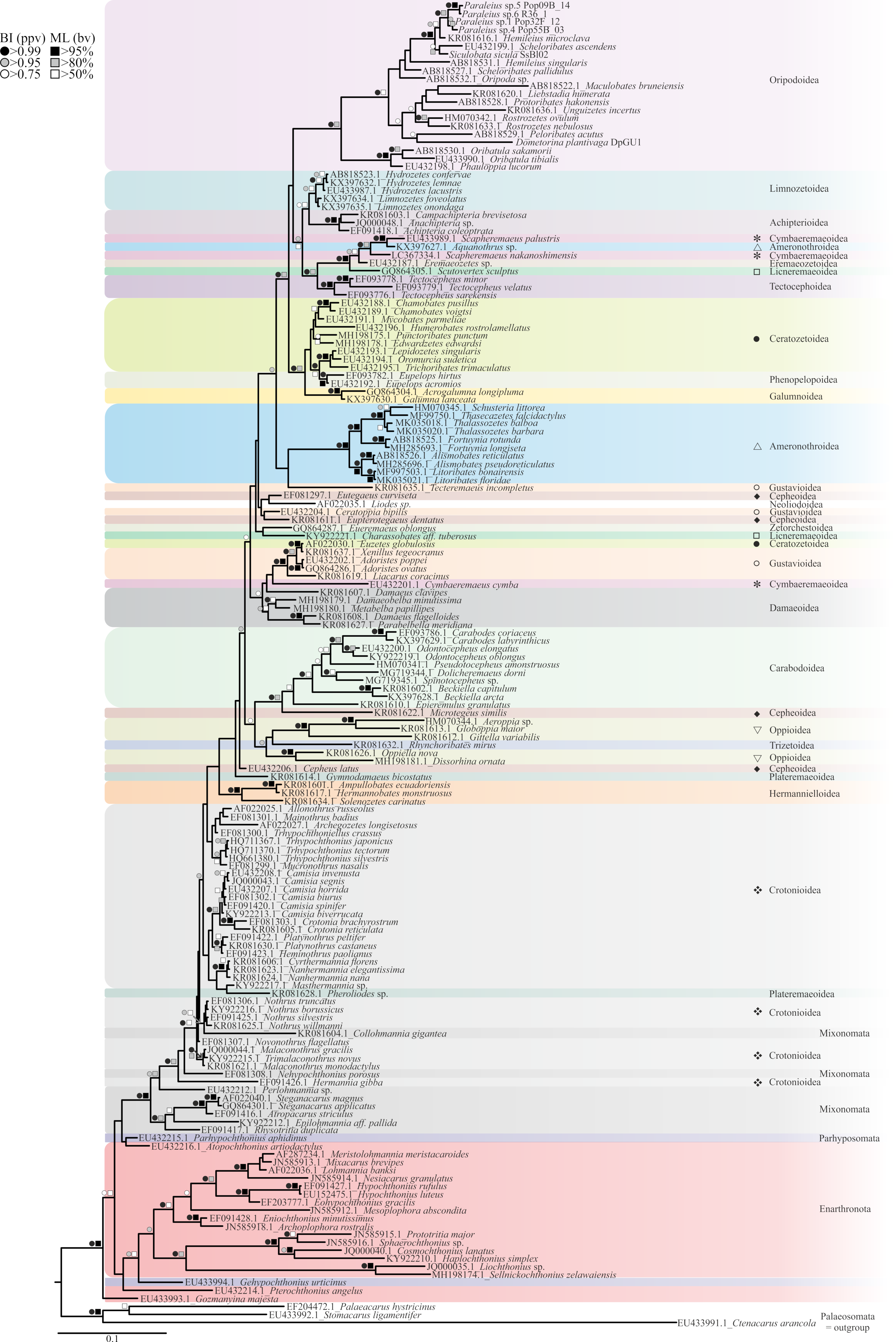 Diversity 12 00255 g002