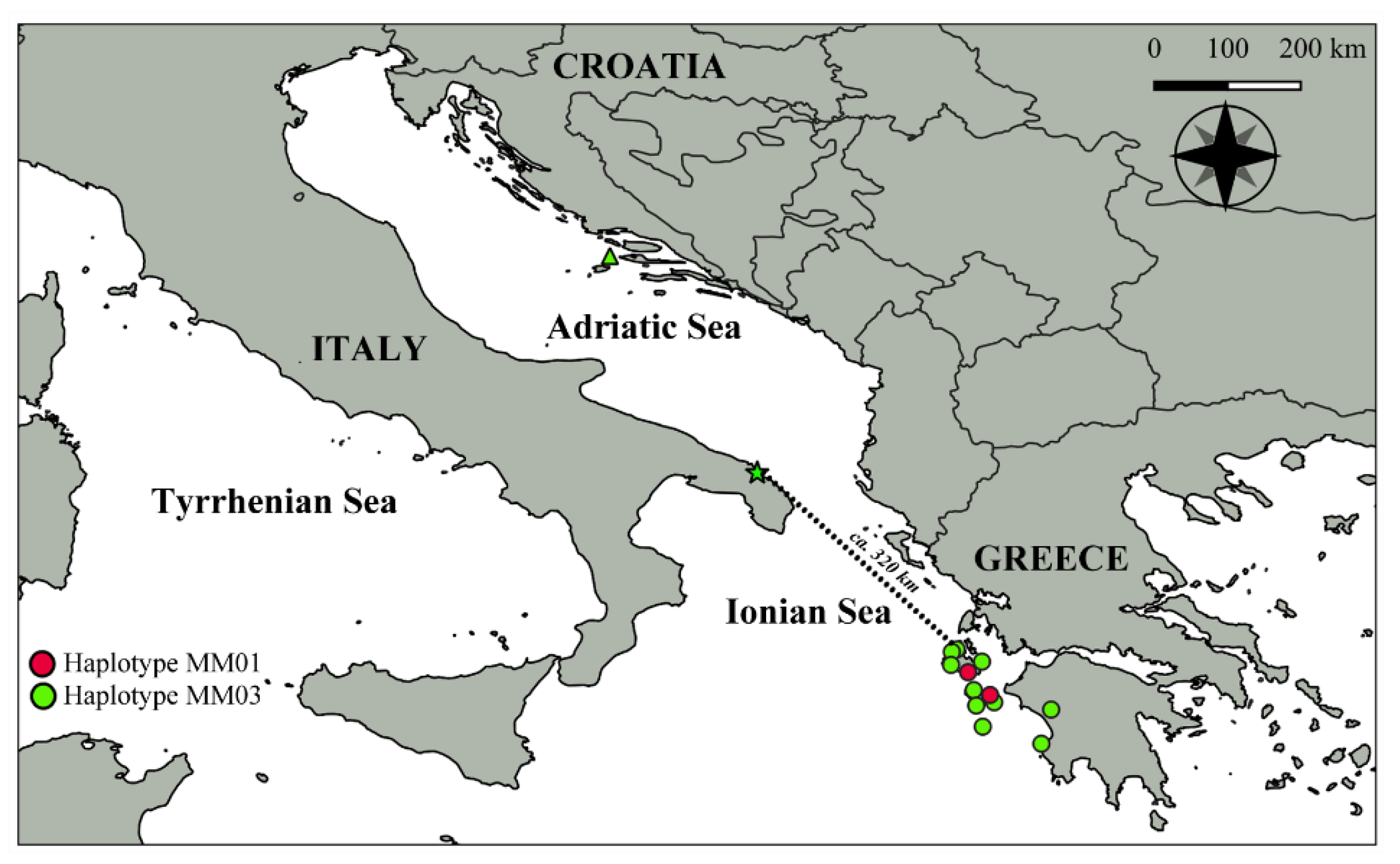 Diversity 12 00258 g002