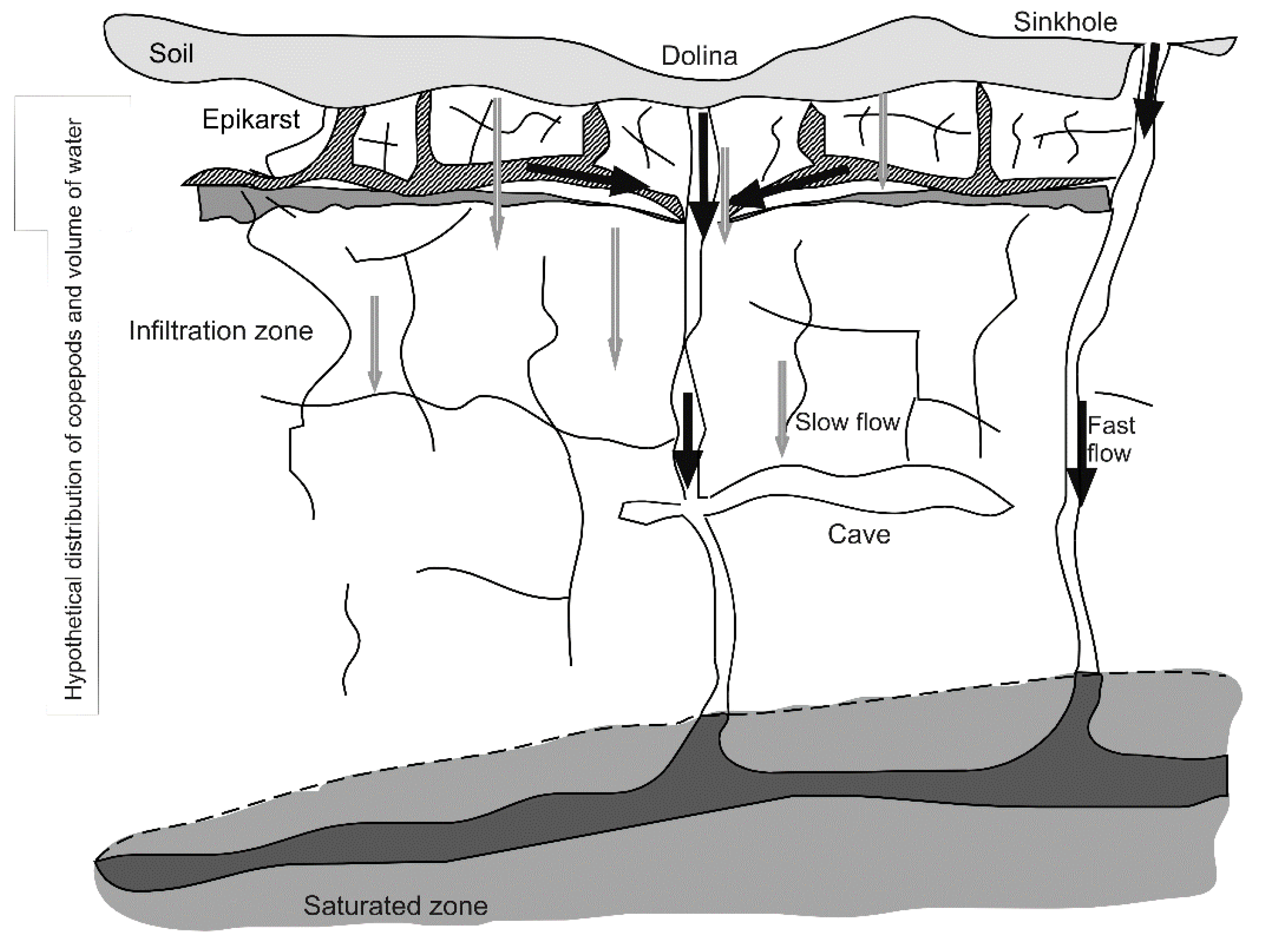 Diversity 12 00269 g001