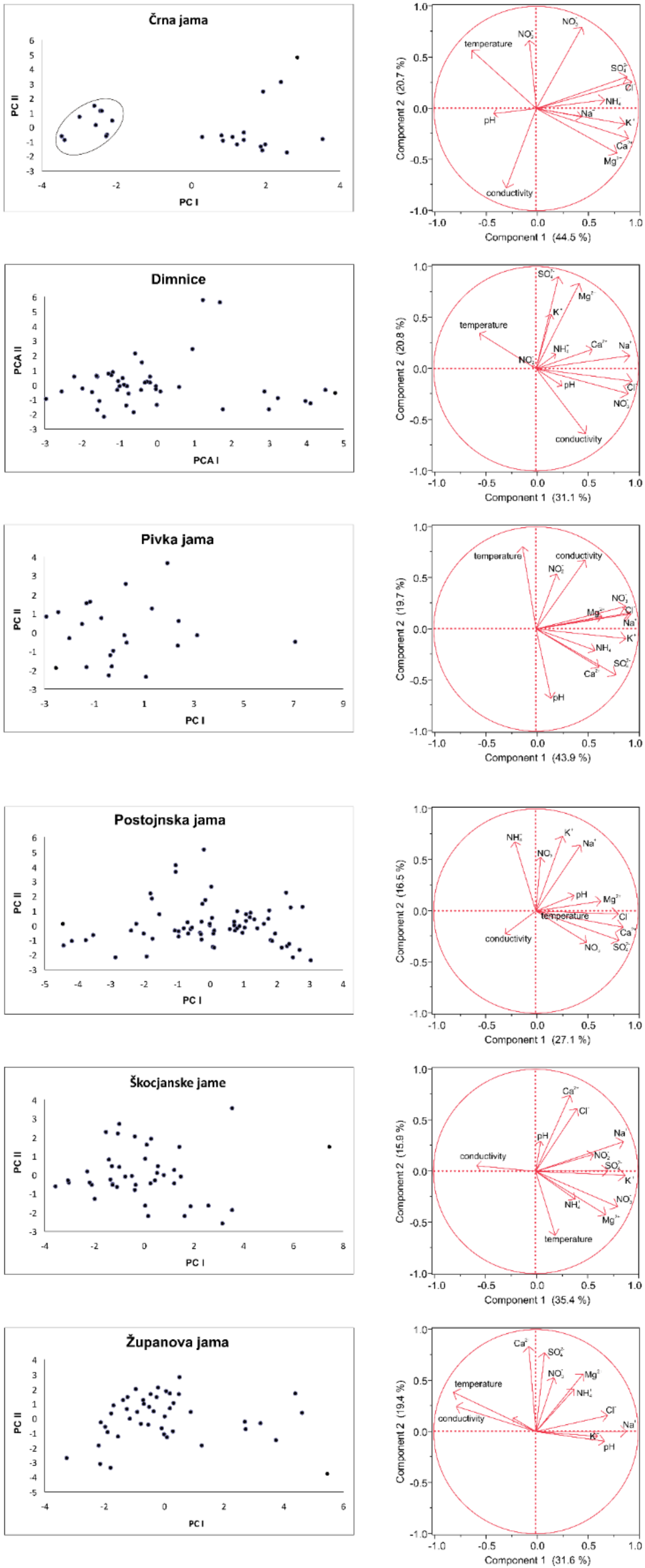 Diversity 12 00269 g002