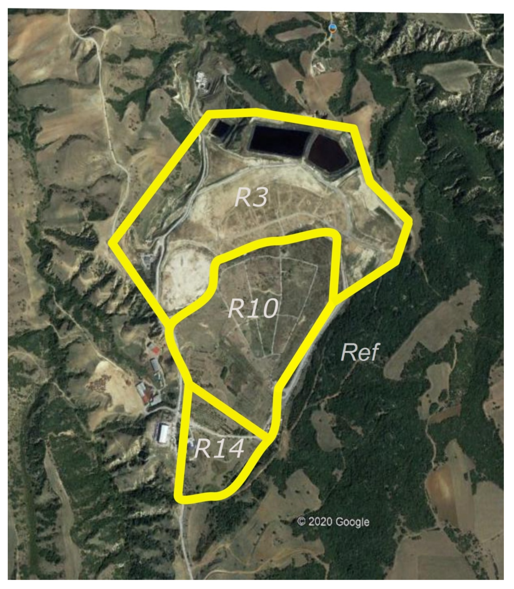 Diversity 12 00274 g001