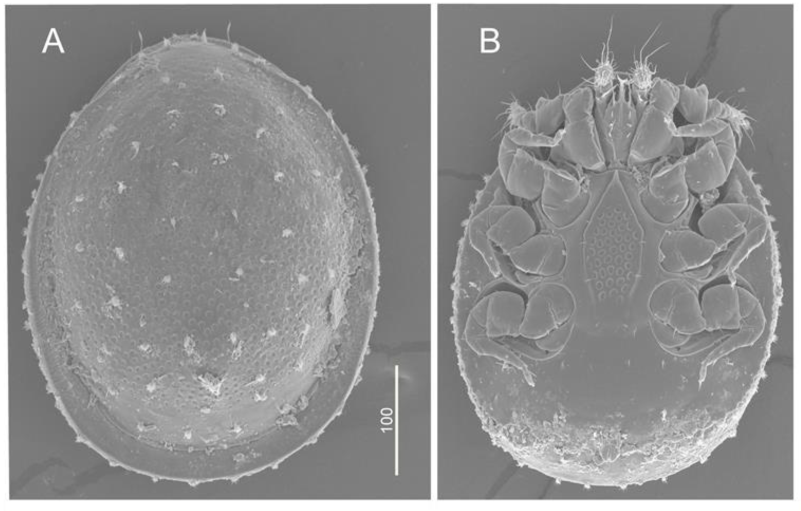 Diversity 12 00283 g010