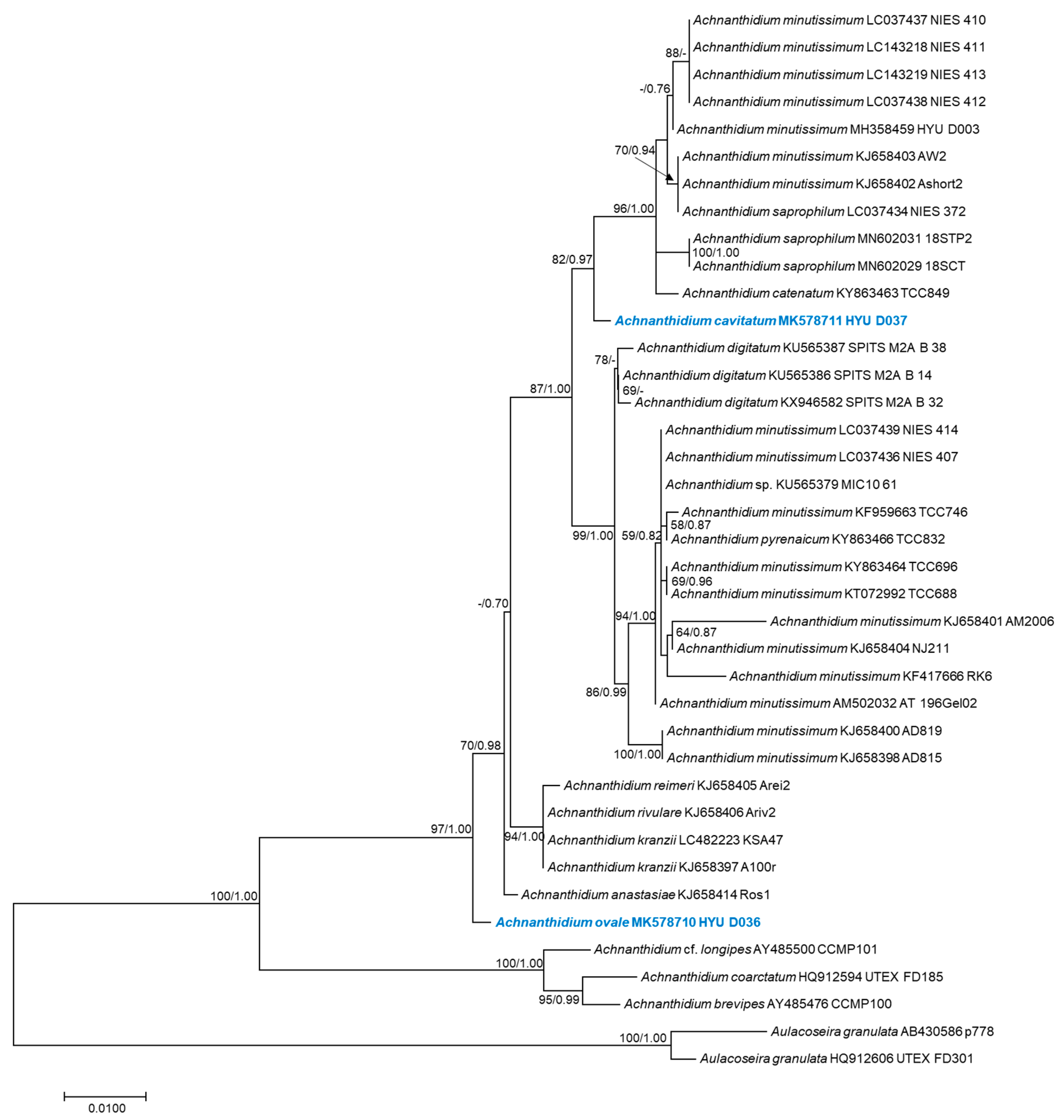 Diversity 12 00285 g008 Diversity 12 00285 g008