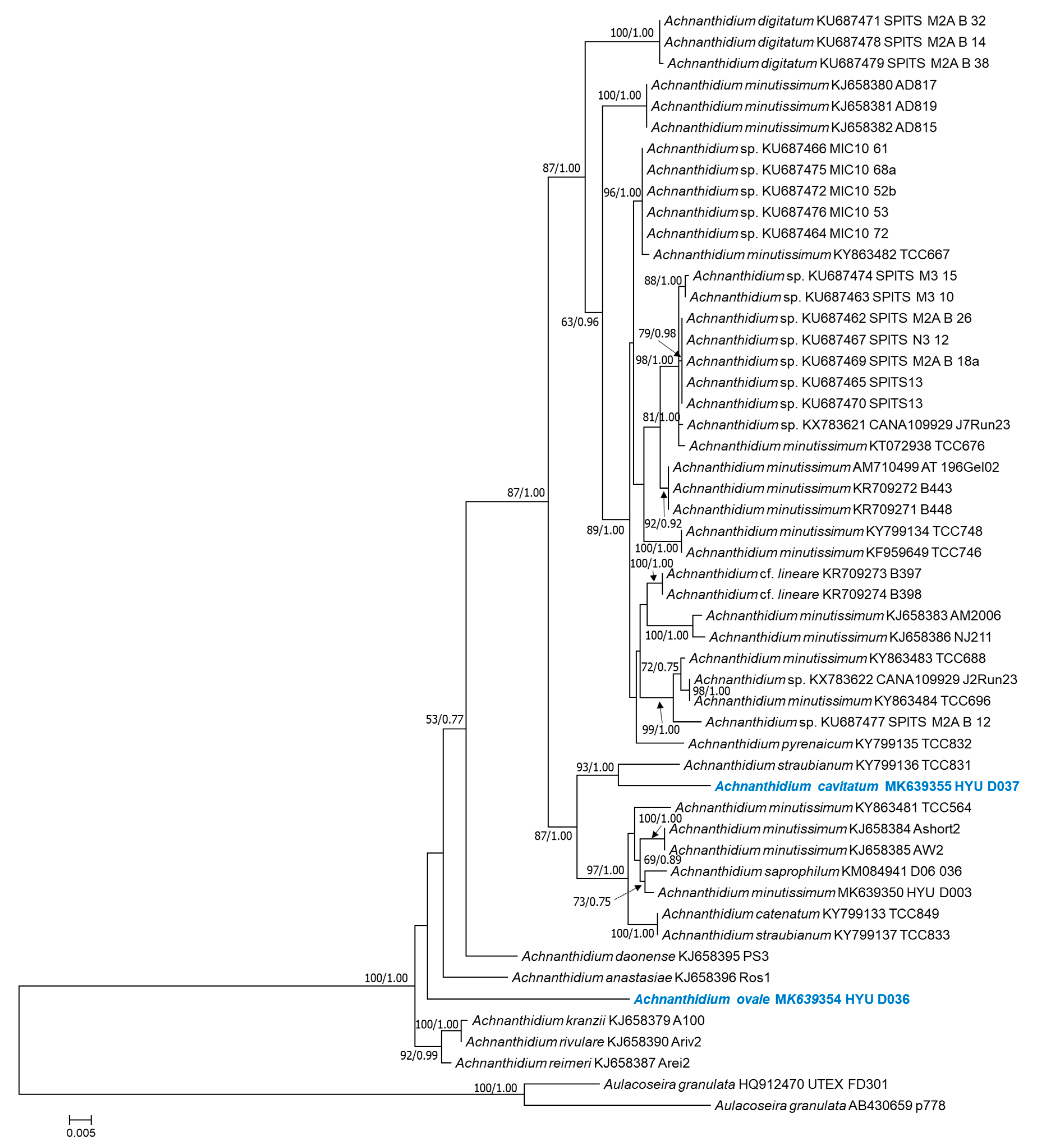 Diversity 12 00285 g009 Diversity 12 00285 g009