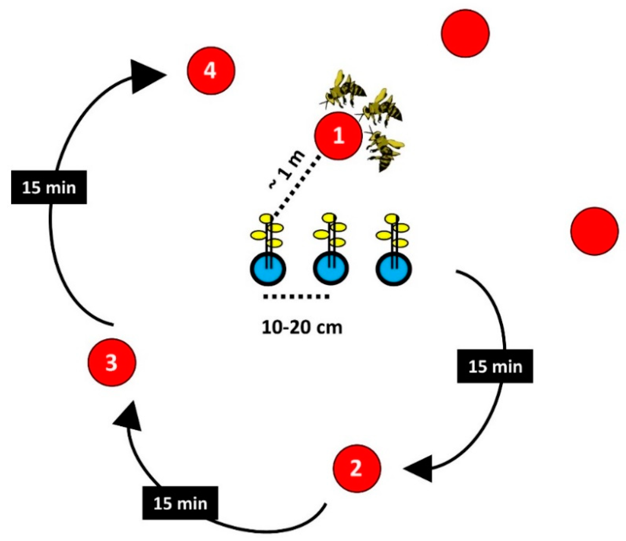 Diversity 12 00286 g003 Diversity 12 00286 g003