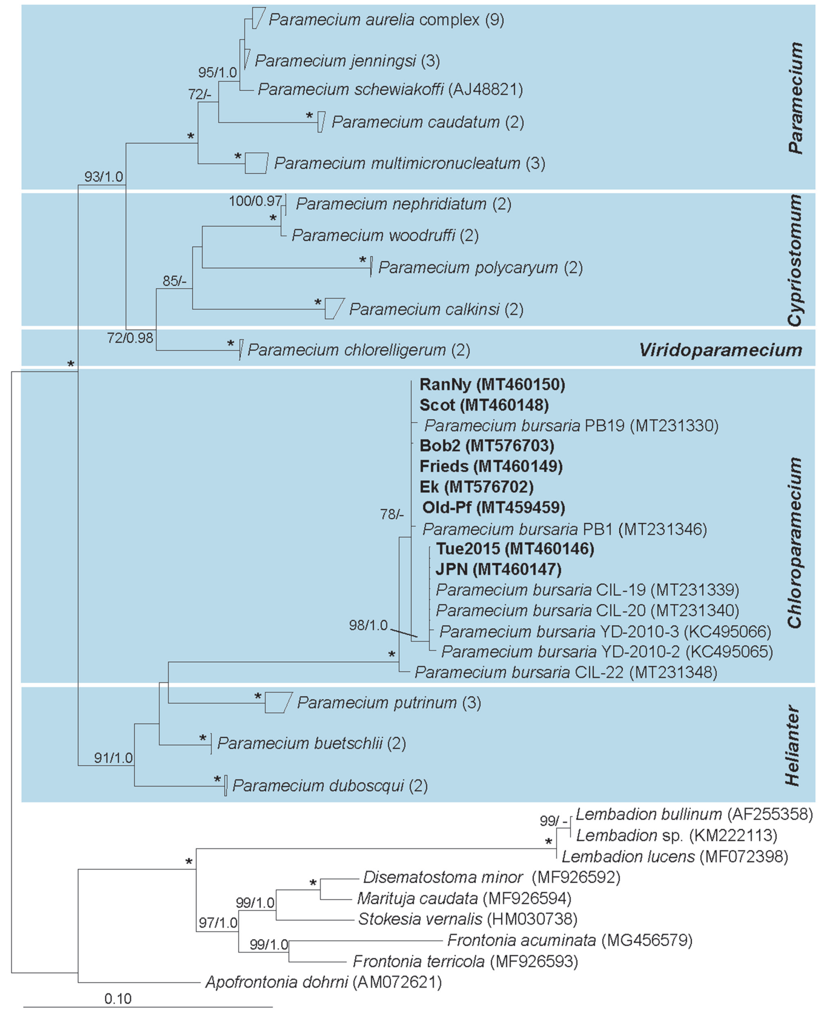 Diversity 12 00287 g003