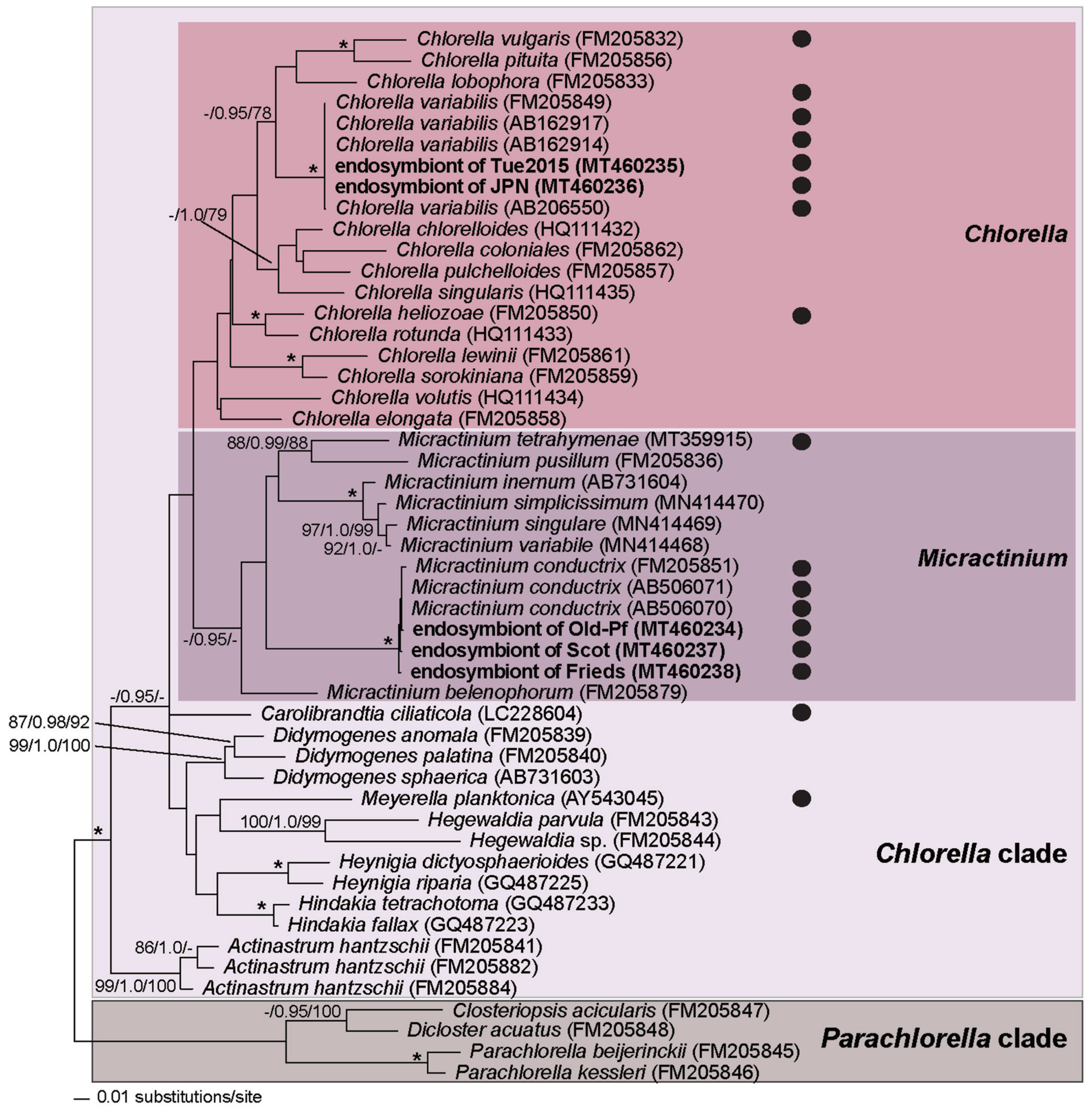 Diversity 12 00287 g005