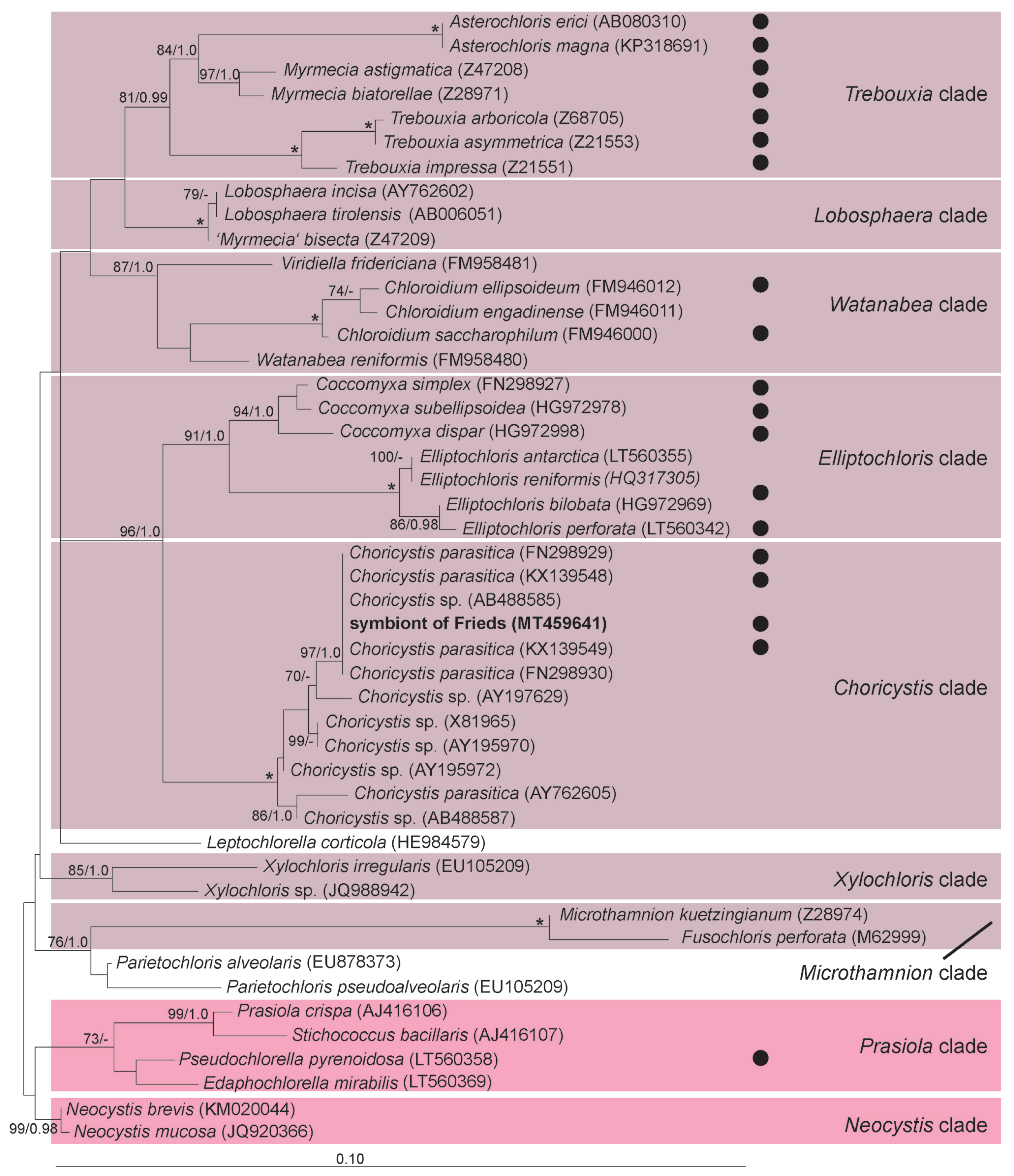 Diversity 12 00287 g006