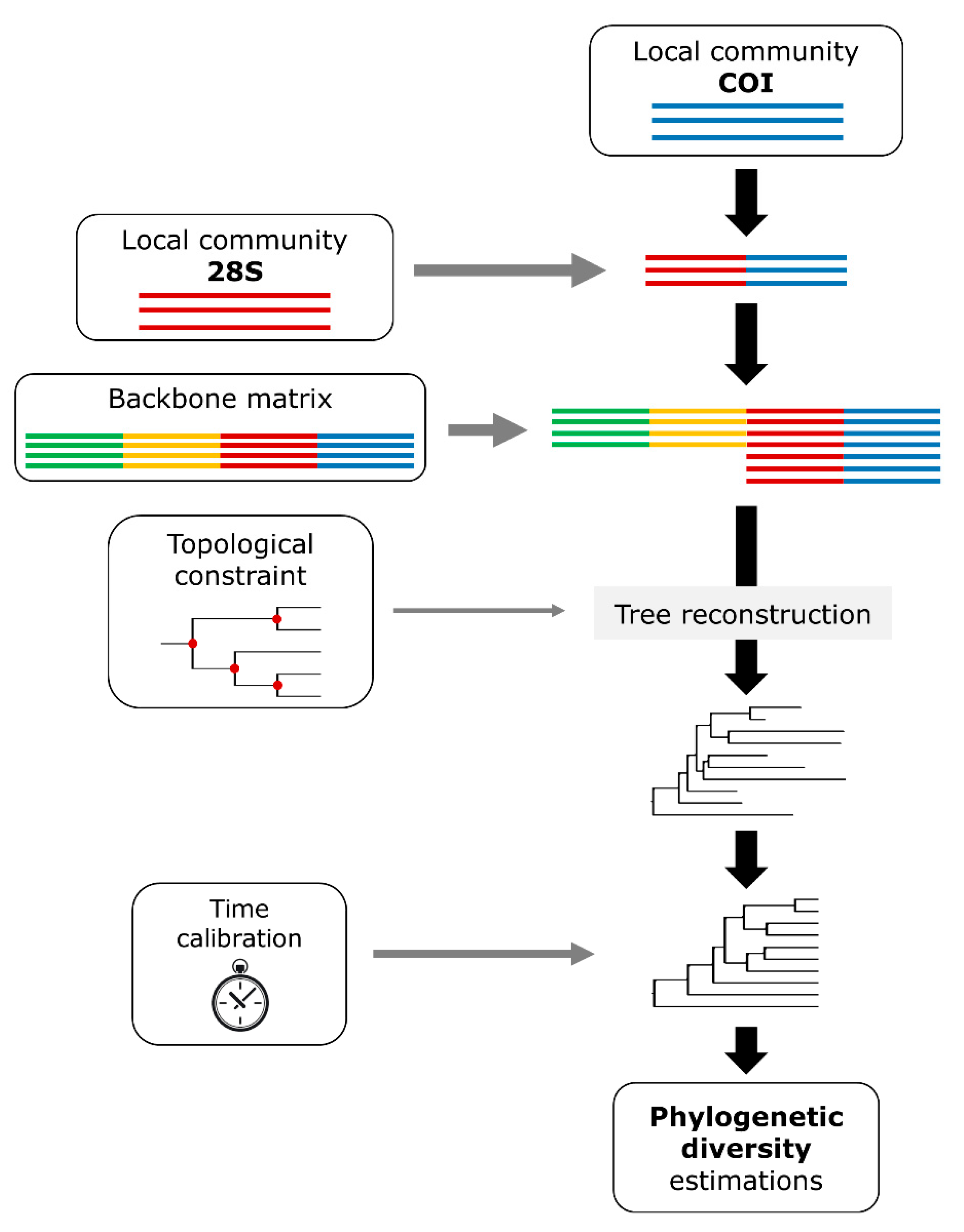 Diversity 12 00288 g003 Diversity 12 00288 g003