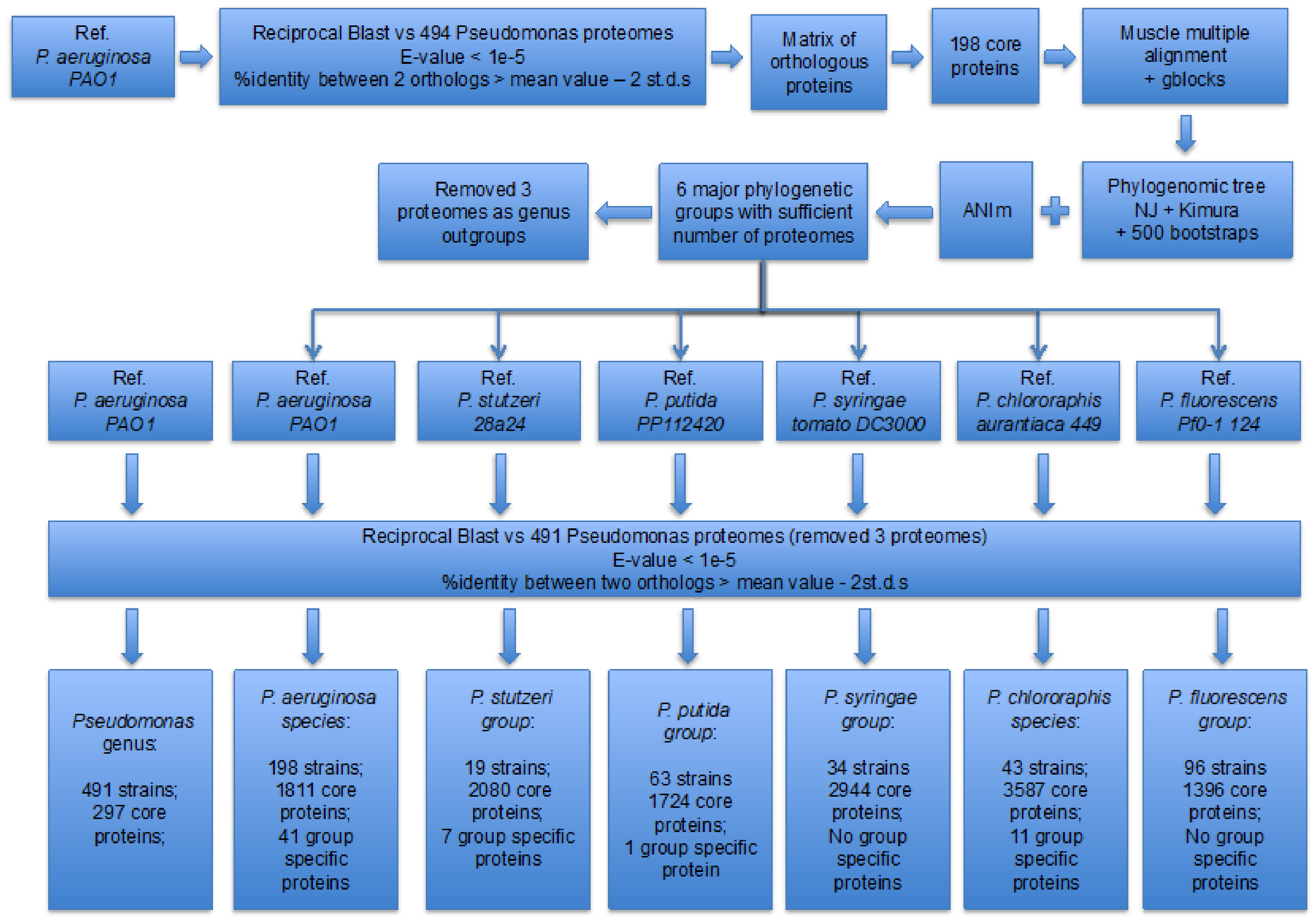Diversity 12 00289 g001