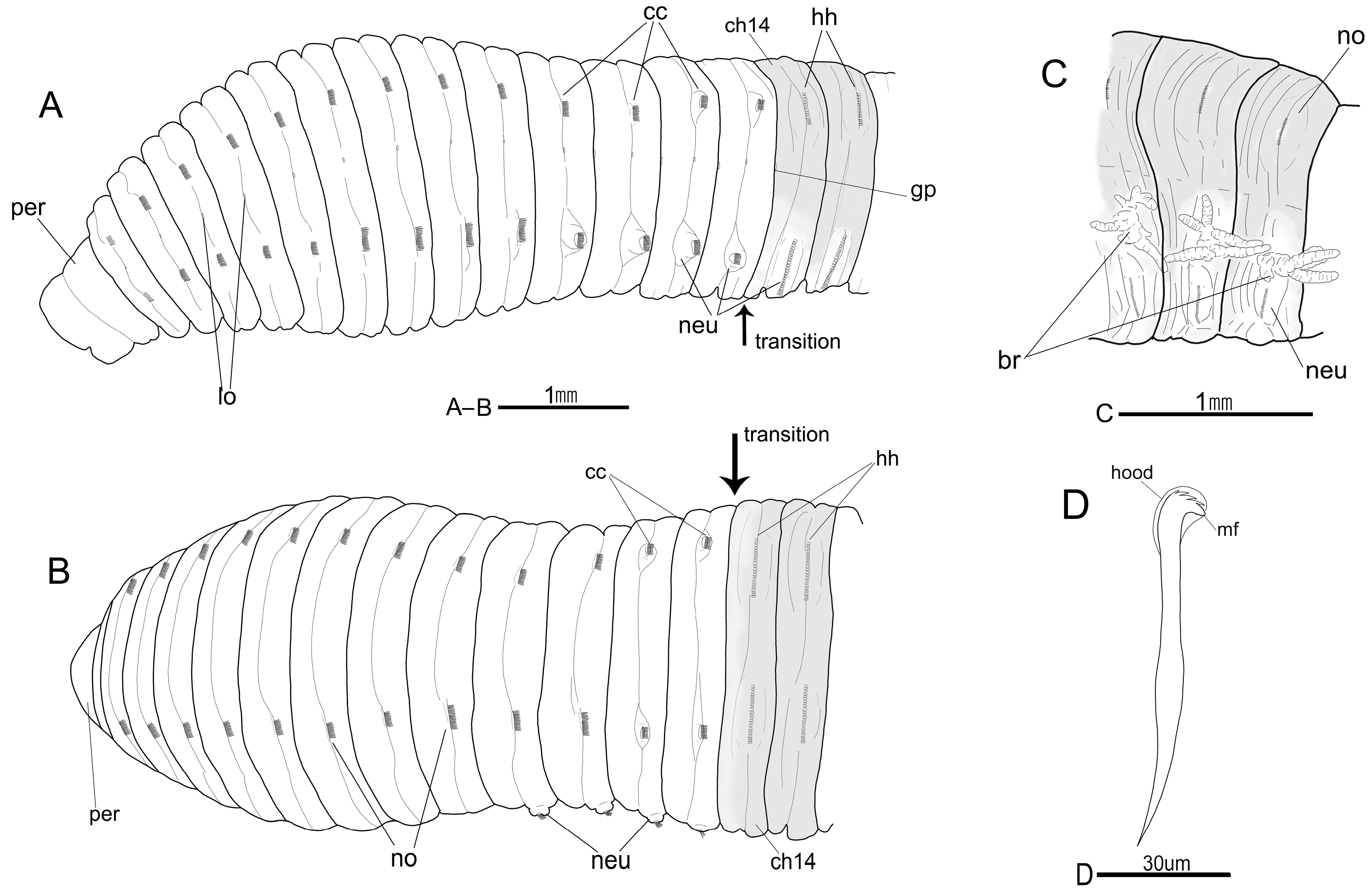 Diversity 12 00290 g002 Diversity 12 00290 g002