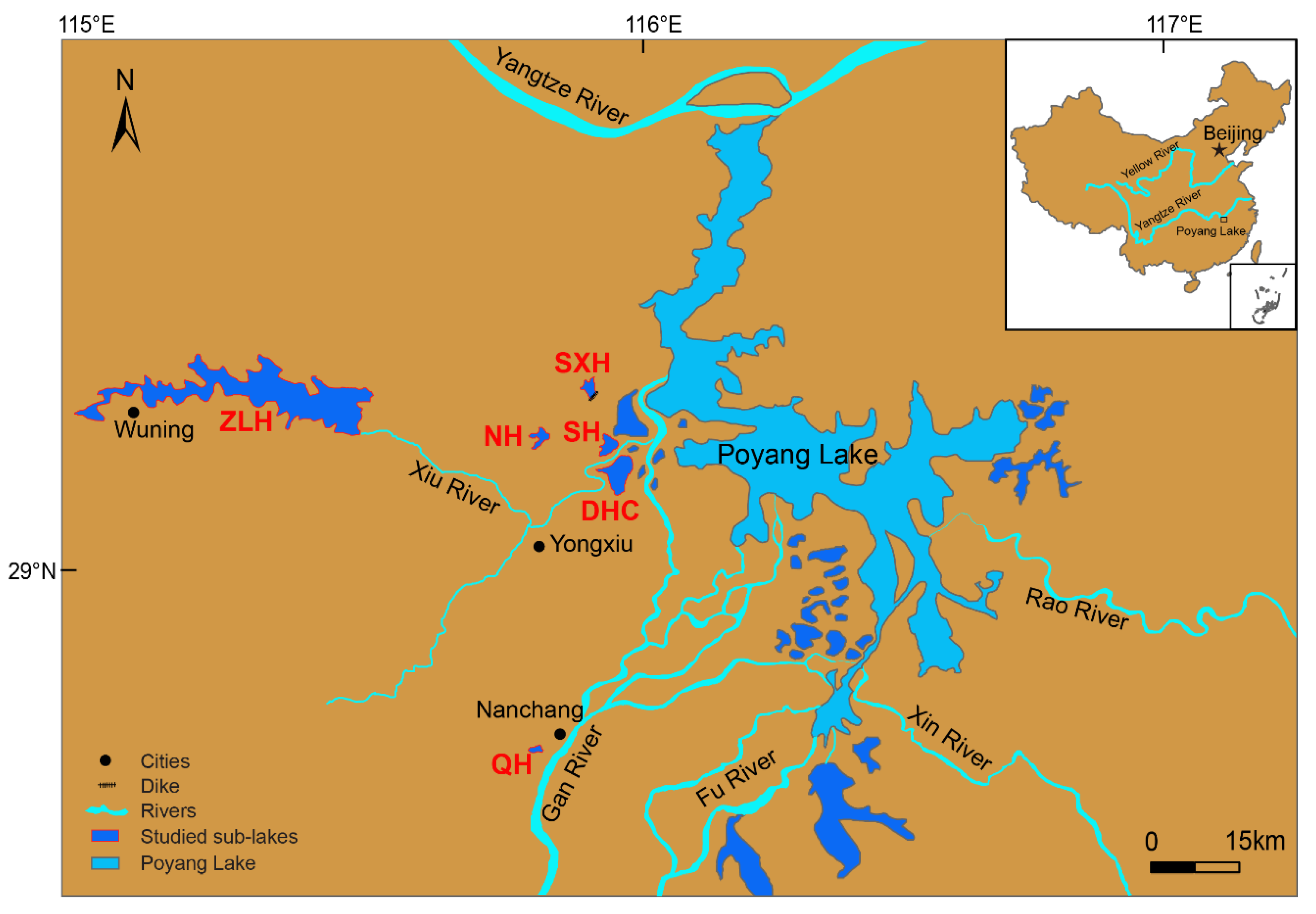 Diversity 12 00296 g001