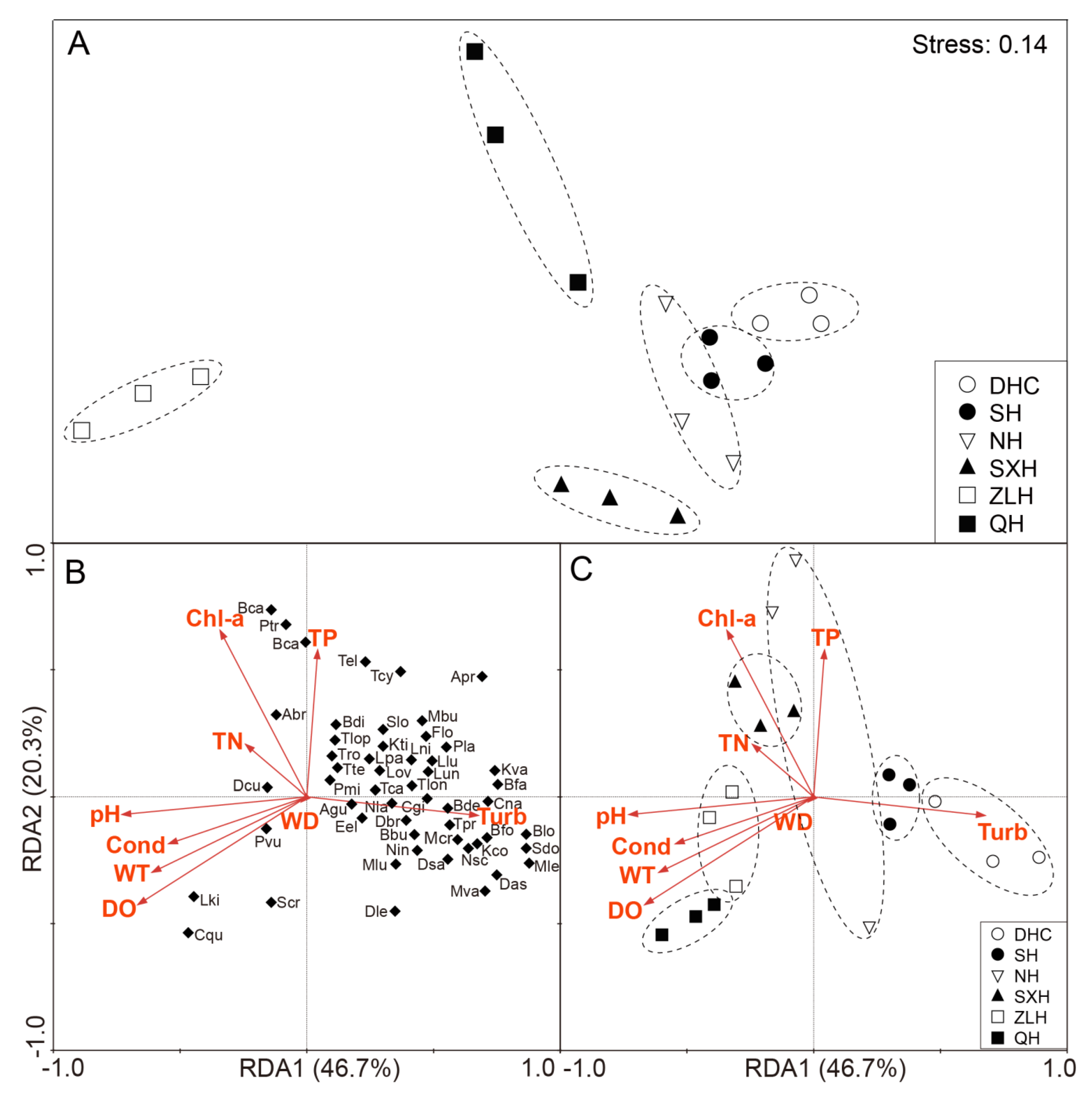 Diversity 12 00296 g003