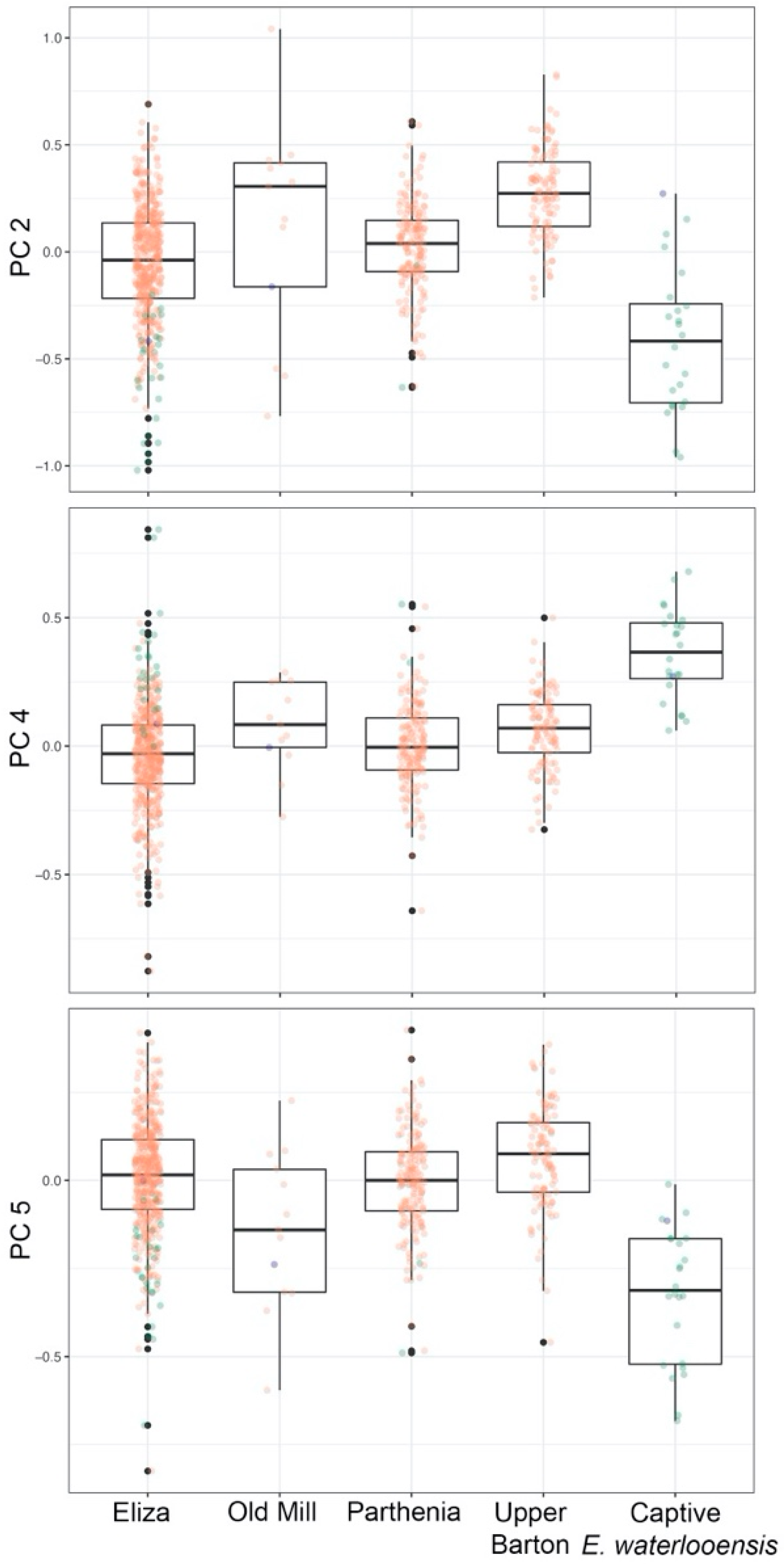 Diversity 12 00297 g005
