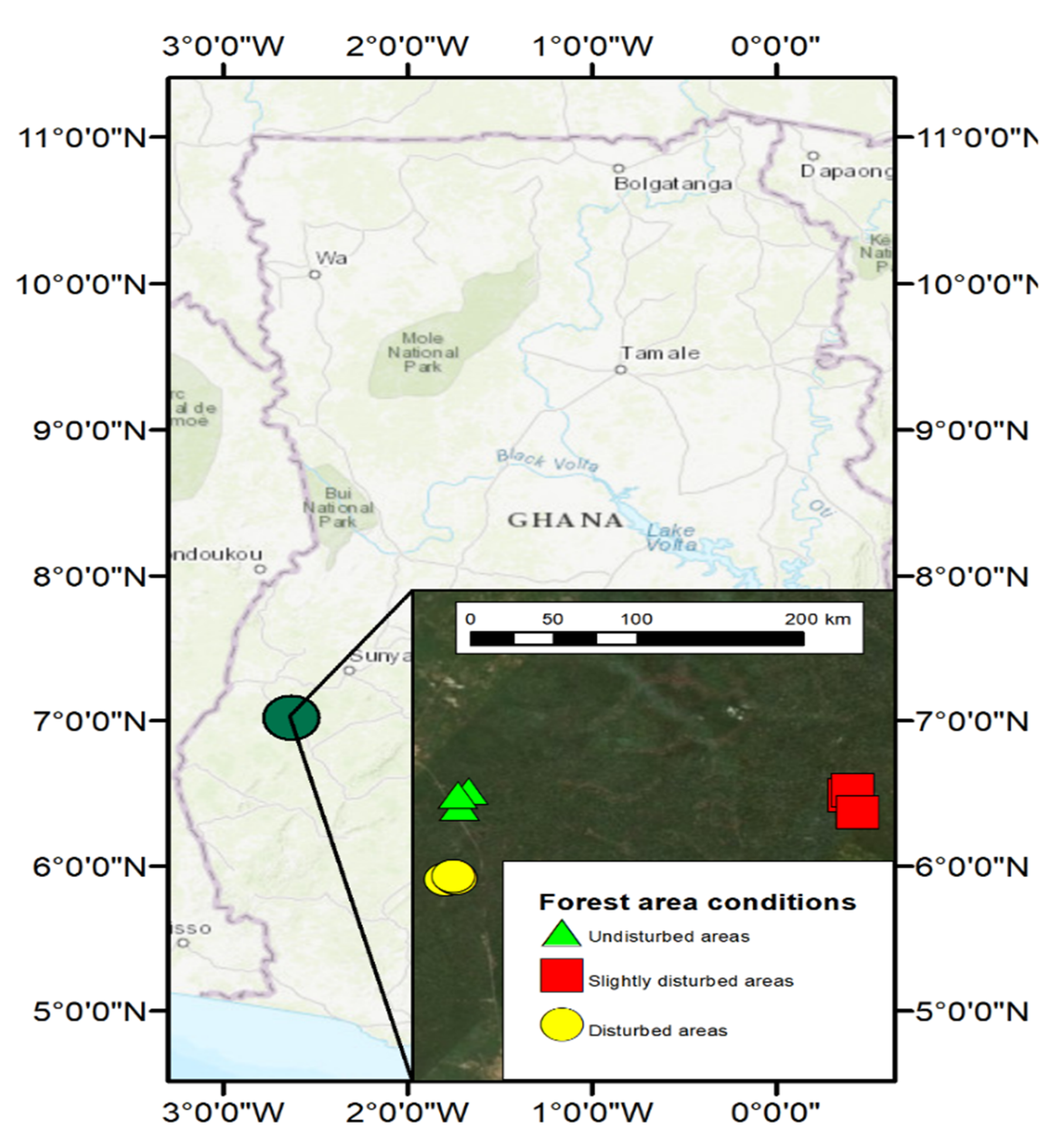 Diversity 12 00301 g001 Diversity 12 00301 g001