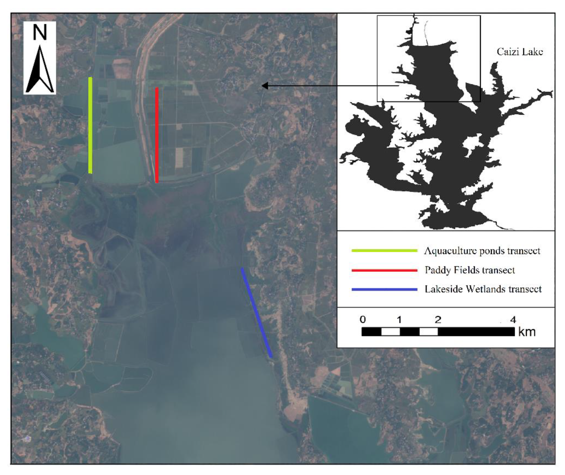 Diversity 12 00302 g001 Diversity 12 00302 g001