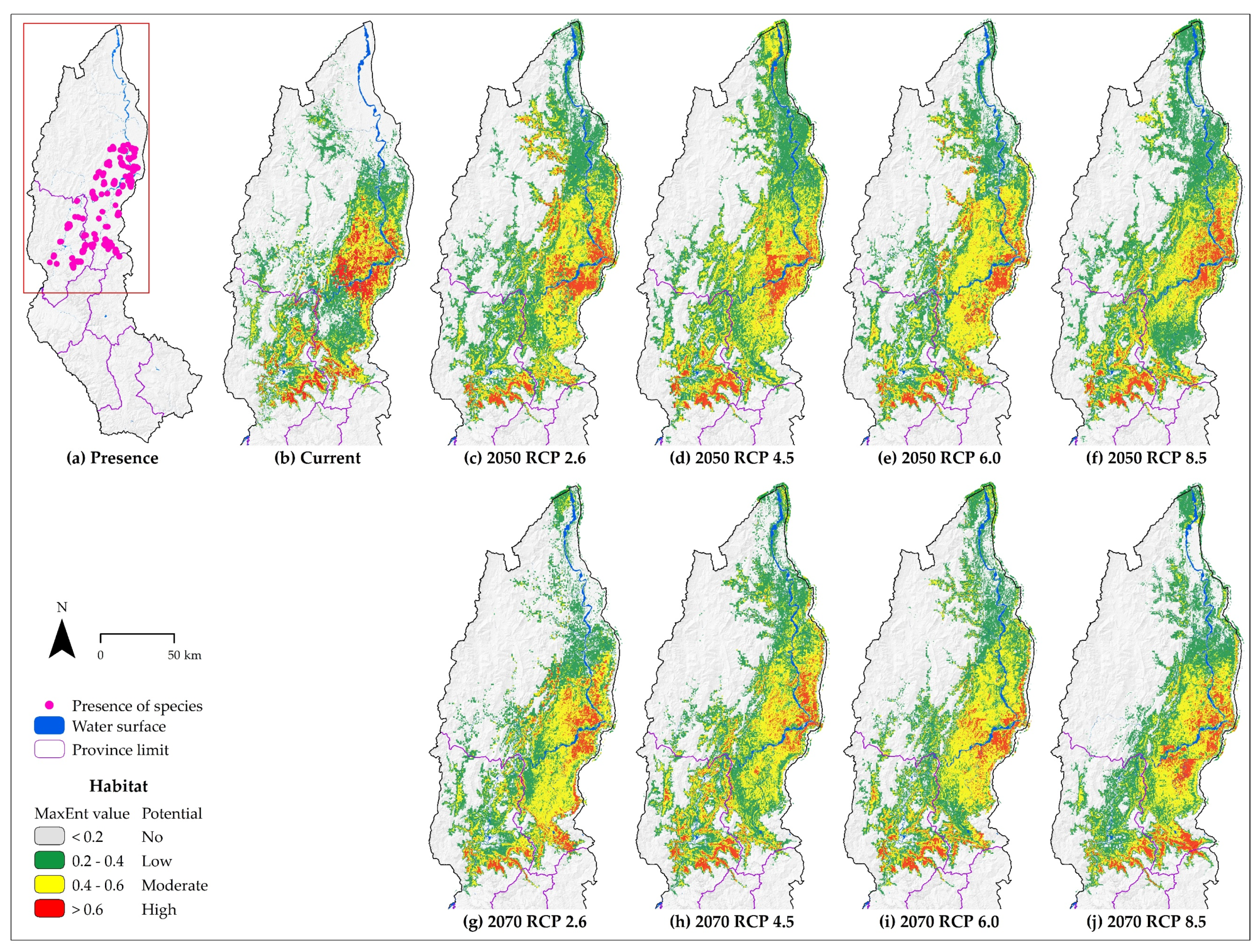 Diversity 12 00305 g002
