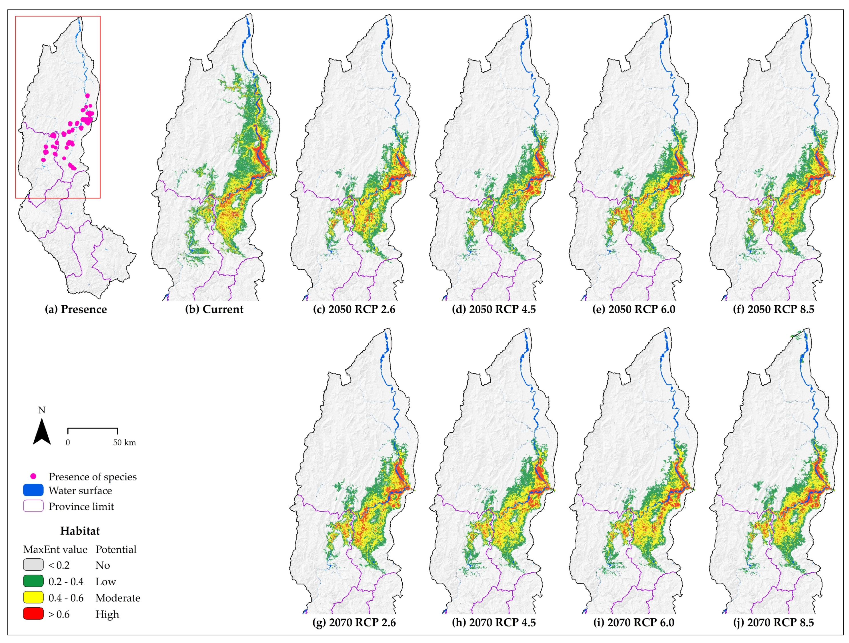 Diversity 12 00305 g003