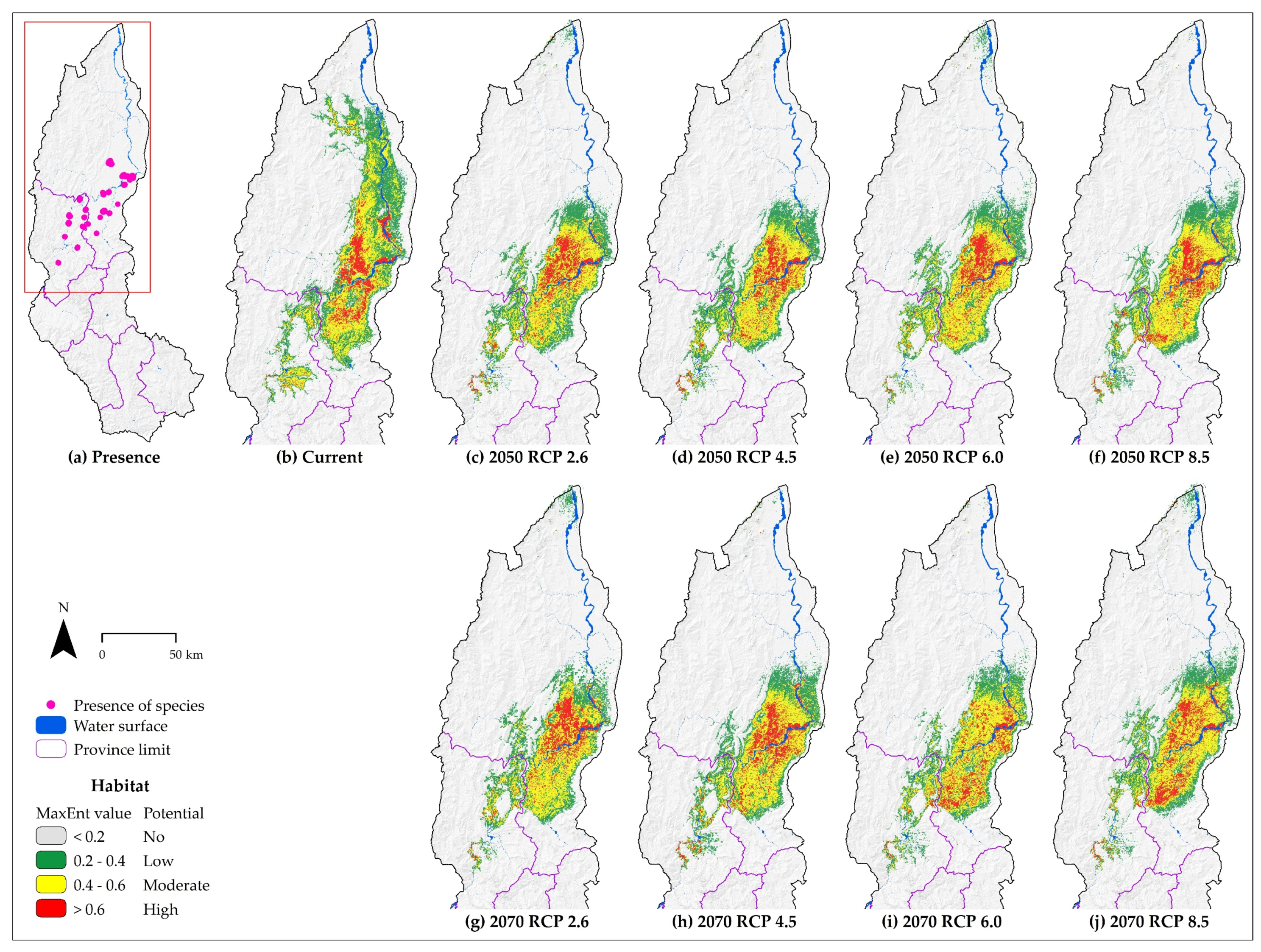Diversity 12 00305 g004