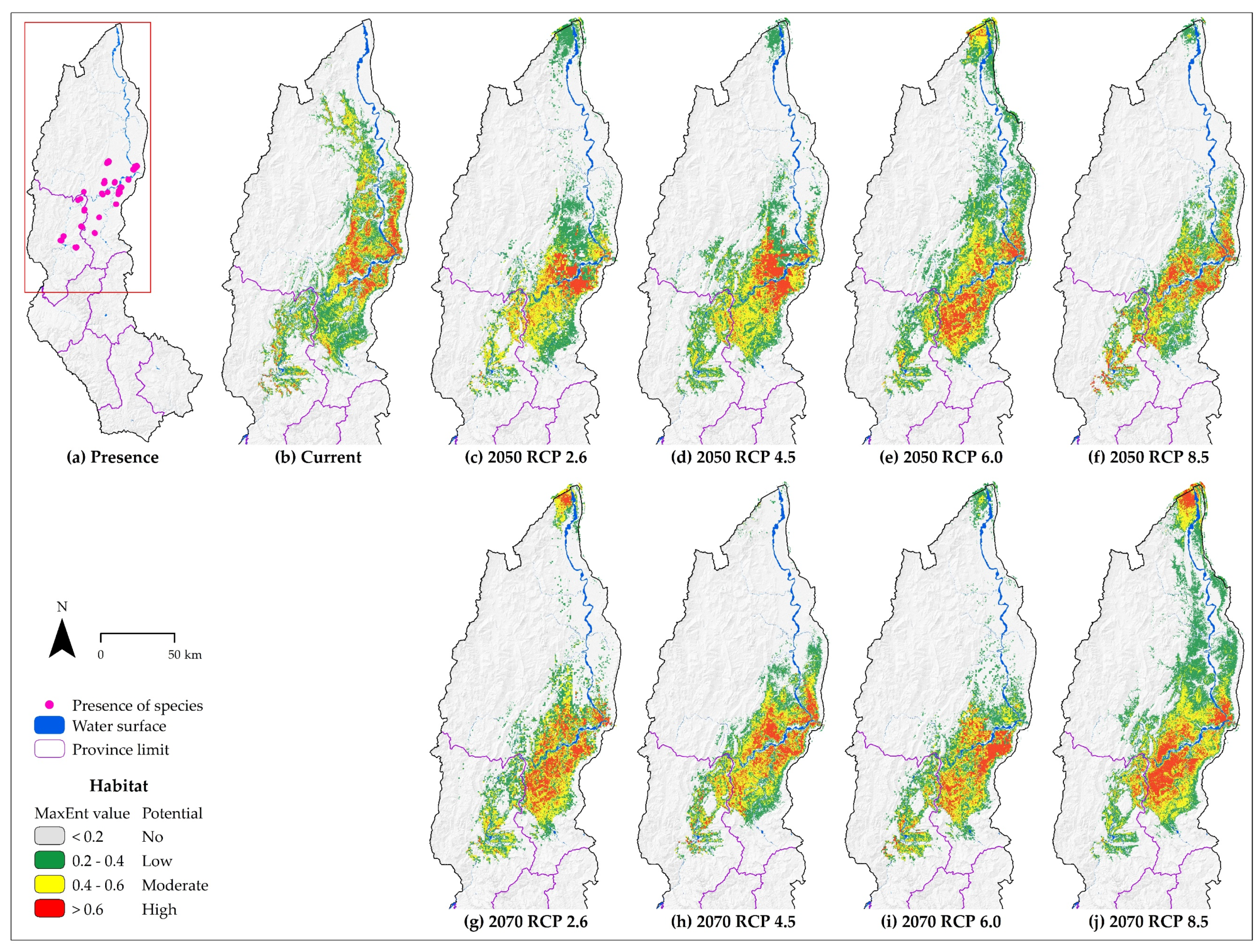 Diversity 12 00305 g005
