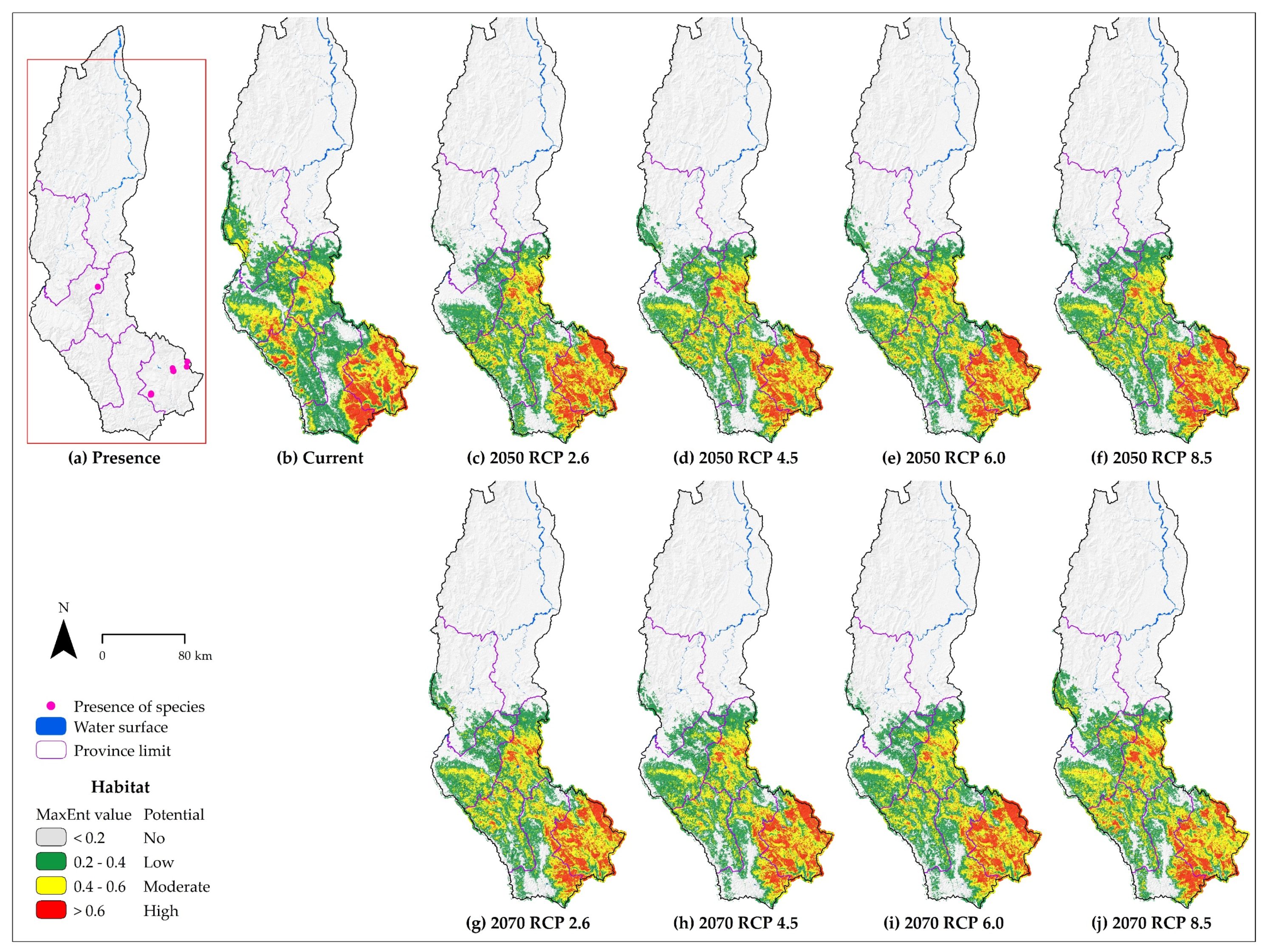 Diversity 12 00305 g006